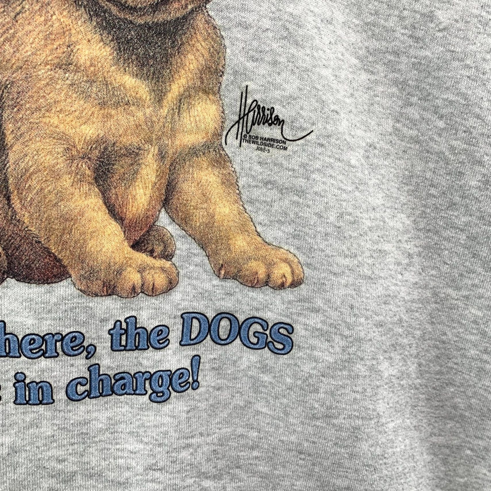 Fruit Of The Loom Vintage Sweatshirt Mens XL Gray Fleece Dog Puppy Funny Golden Retriever Size US XL / EU 56 / 4 - 5 Thumbnail