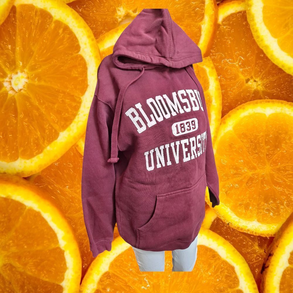 Other Ouray Bloomsburg University 1839 Burgundy Pullover Hoodie Sw Size US M / EU 48-50 / 2 - 7 Thumbnail