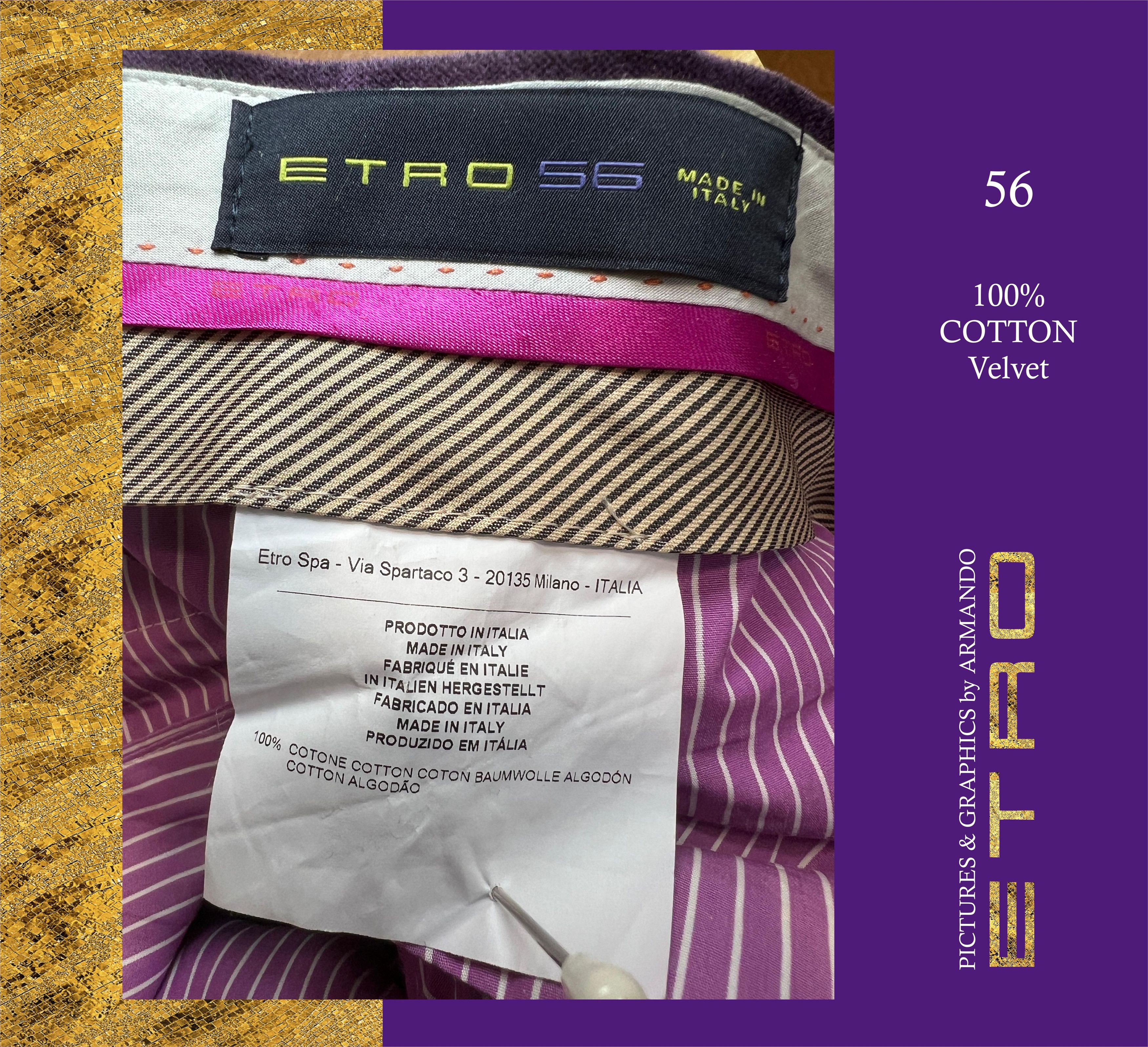 Etro Velvet Pant Size US 40 / EU 56 - 2 Thumbnail