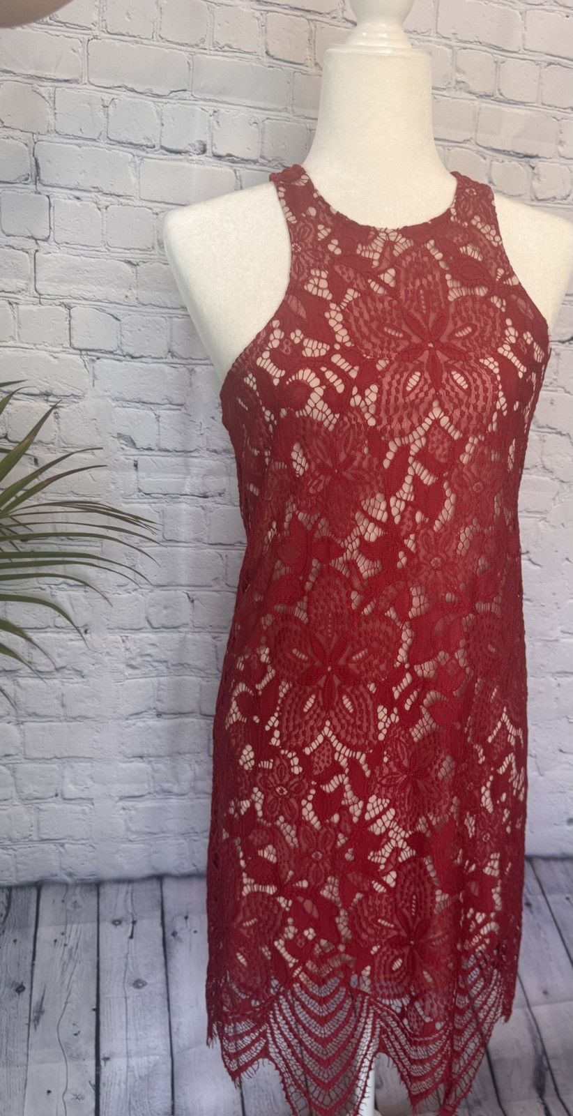 Express Express Red Lace Dress with tan underlay Size S / US 4 / IT 40 - 1 Thumbnail