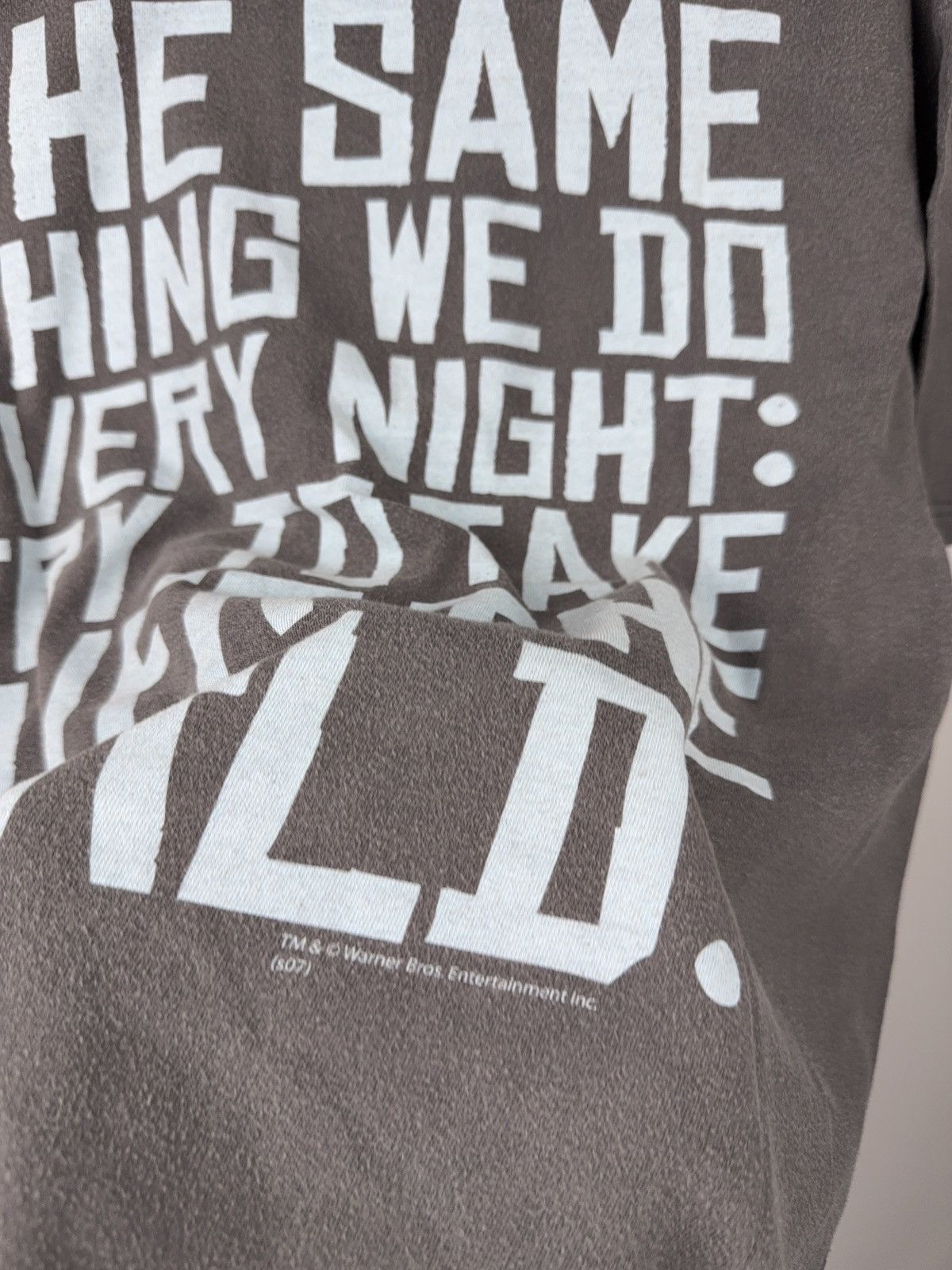 Warner Bros 2007 Pinky and the Brain Vintage Quote Graphic T-Shirt Size US L / EU 52-54 / 3 - 13 Thumbnail