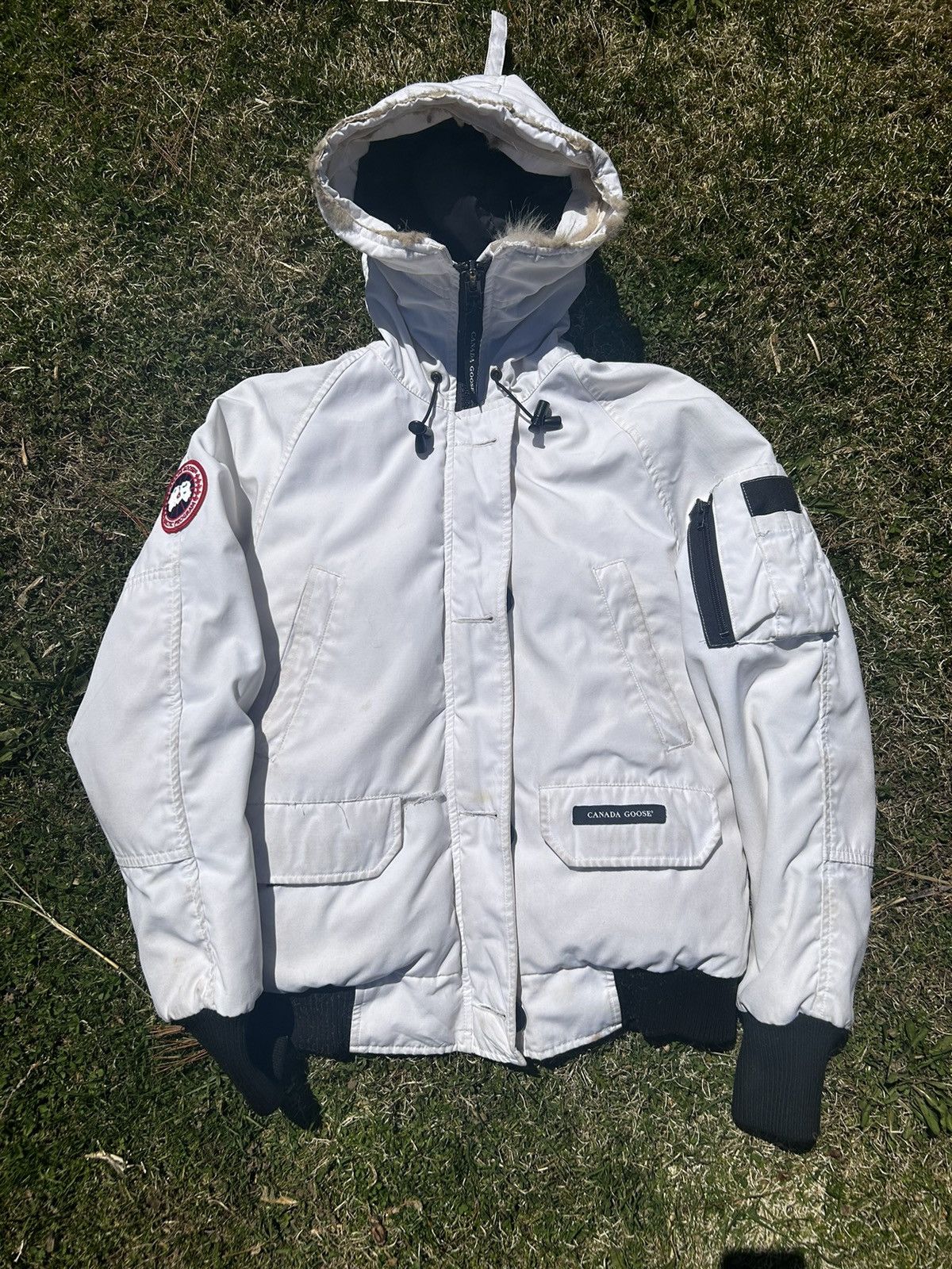 image of Canada Goose White Expedition Parka, Men's (Size Small)