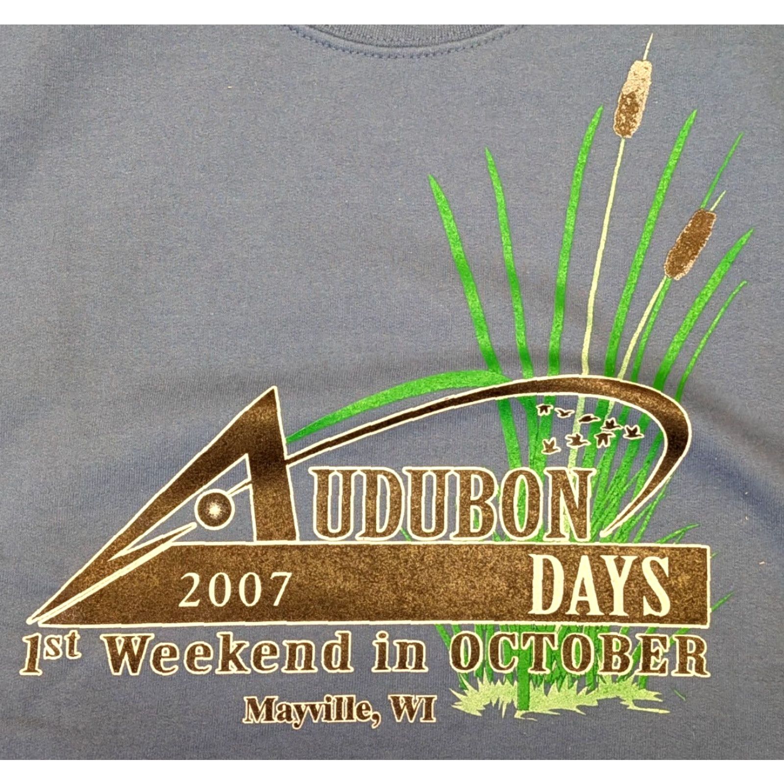 Gildan Vintage Gildan L Large 2007 Audubon Days Mayville Wisconsin Souvenir Sweatshirt Blue Long Sleeve Pullover Unisex Adults Cotton Polyester Mens Womens Size L / US 10 / IT 46 - 4 Thumbnail