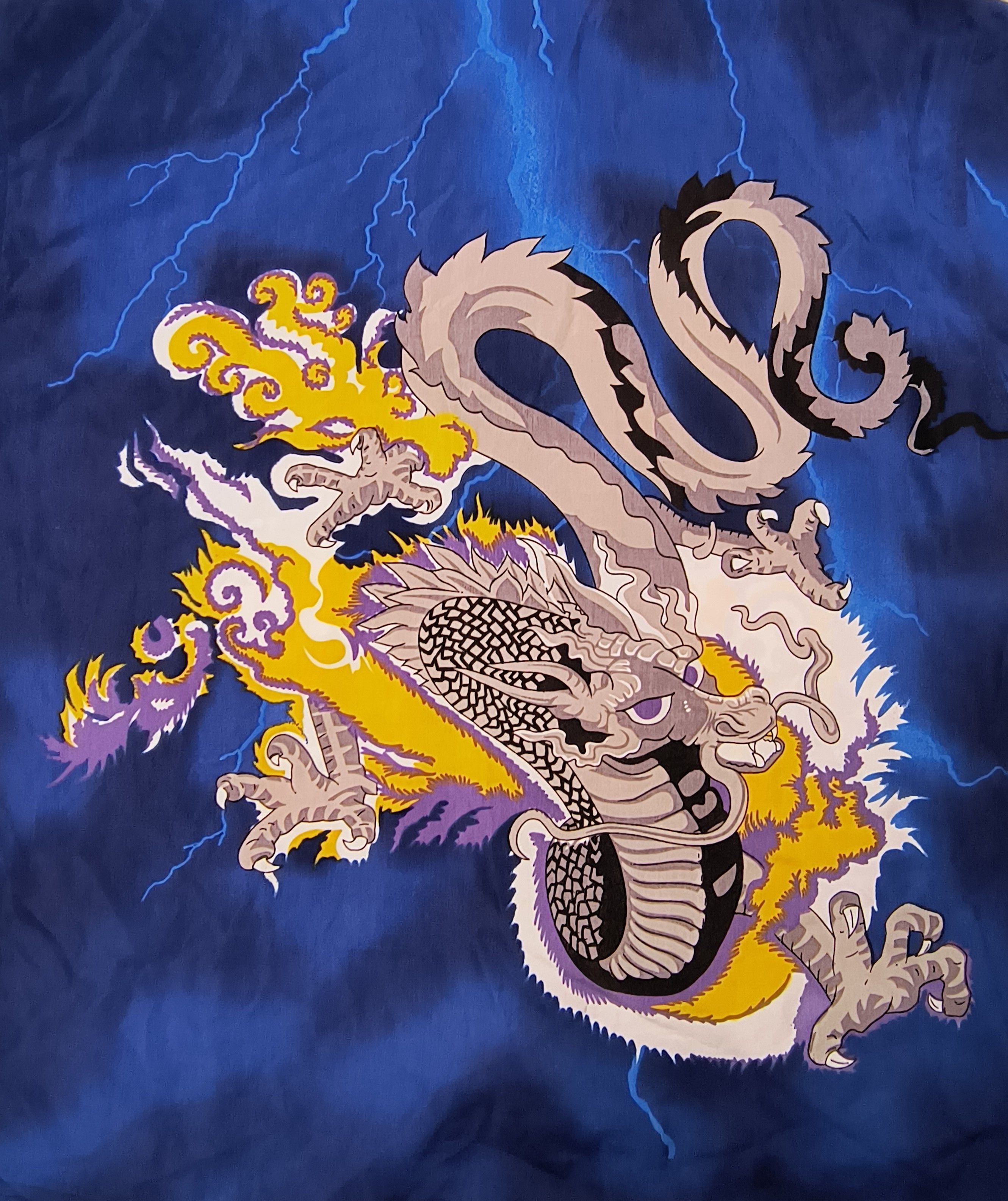 Vintage thunder dragon 90s button up shirt