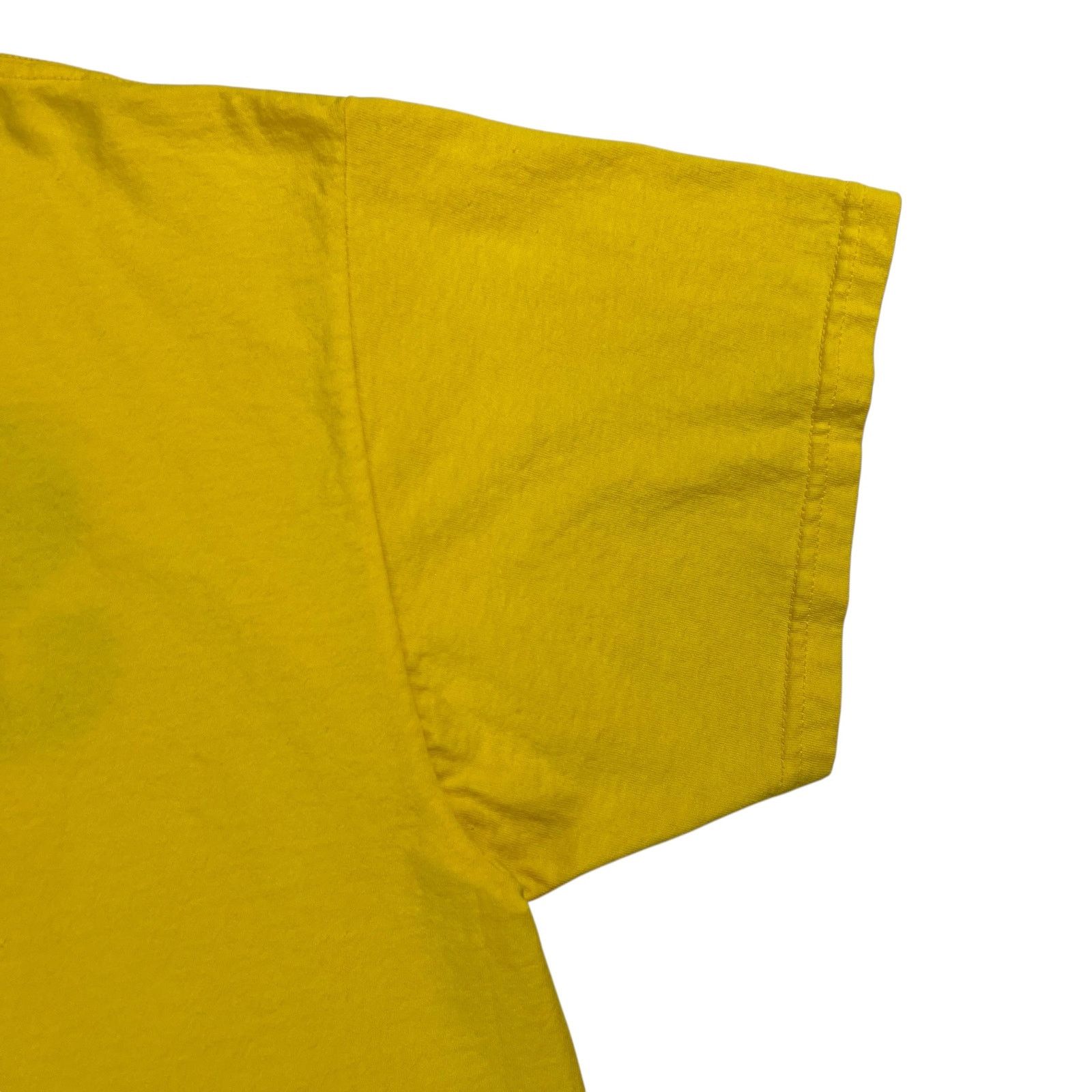 Band Tees × Delta × Vintage Vintage 1999 Woodstock 99 STAFF A Day In The Garden tee (XL) Size US XL / EU 56 / 4 - 5 Thumbnail