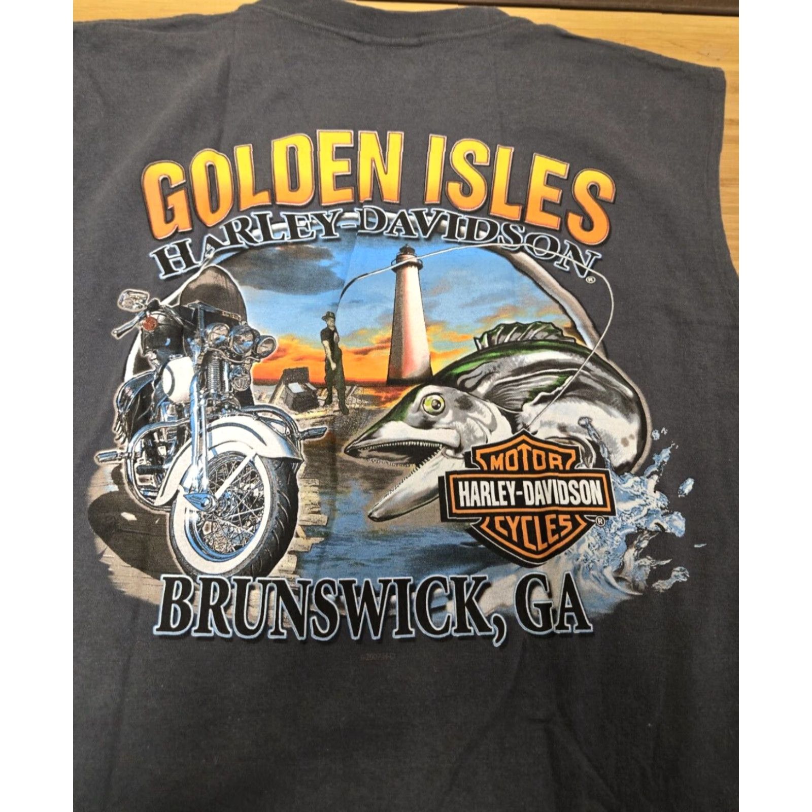 Harley Davidson Harley-Davidson Shirt Men XL Gray Sleeveless Graphic Print Brunswick Georgia Crew Neck Golden Isles Size US XL / EU 56 / 4 - 5 Thumbnail