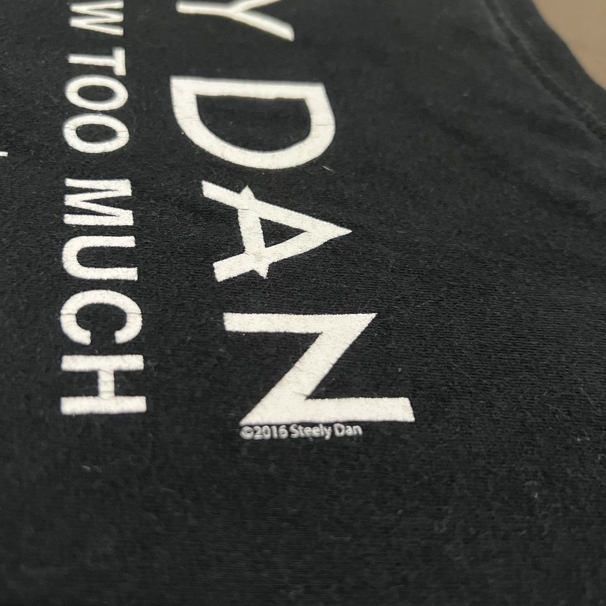 Band Tees × Gildan 2016 Steely Dan Promo Tour Tee XL Size US XL / EU 56 / 4 - 8 Thumbnail