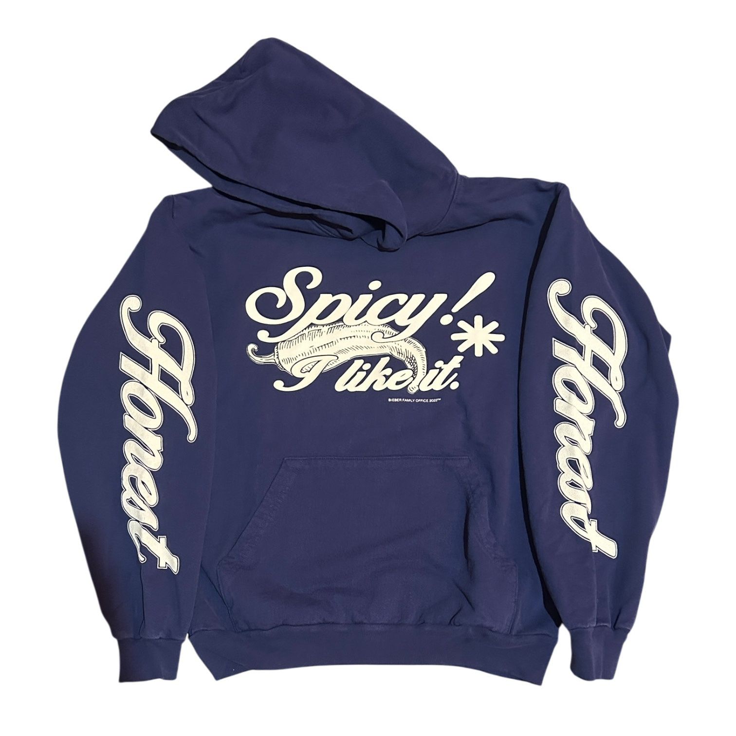 Justin Bieber Justin Bieber Spicy! I Like It Blue Hoodie SUPER RARE Size US M / EU 48-50 / 2 - 1 Thumbnail