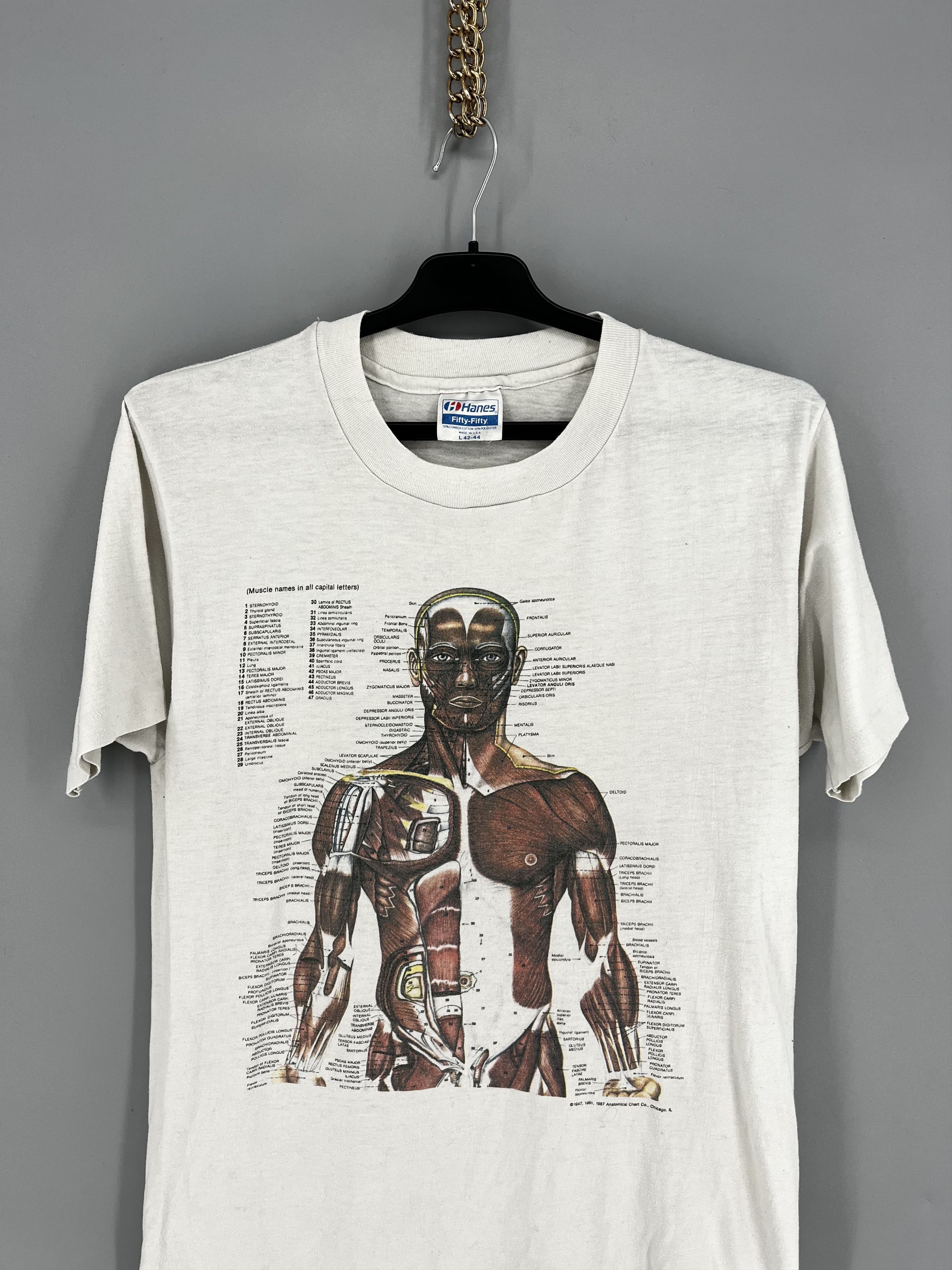 Other Anatomy Muscle Shirt Same Print as Kurt Cobain Rare Medical Size US M / EU 48-50 / 2 - 6 Thumbnail