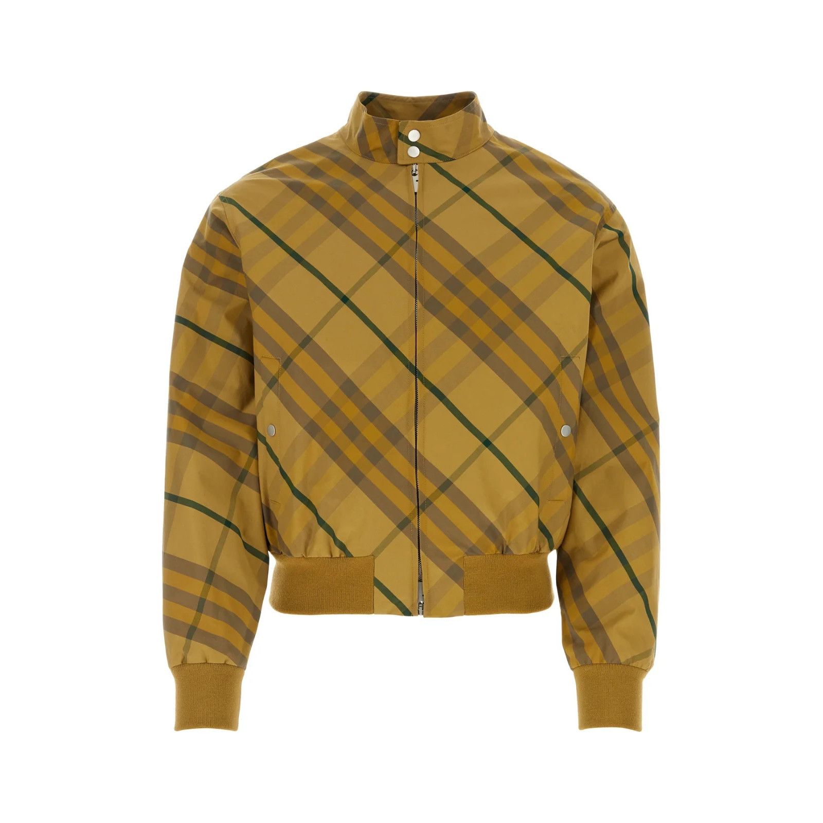 Burberry BURBERRY Embroidered Cotton Bomber Jacket New & Authentic (M Size US M / EU 48-50 / 2 - 1 Thumbnail