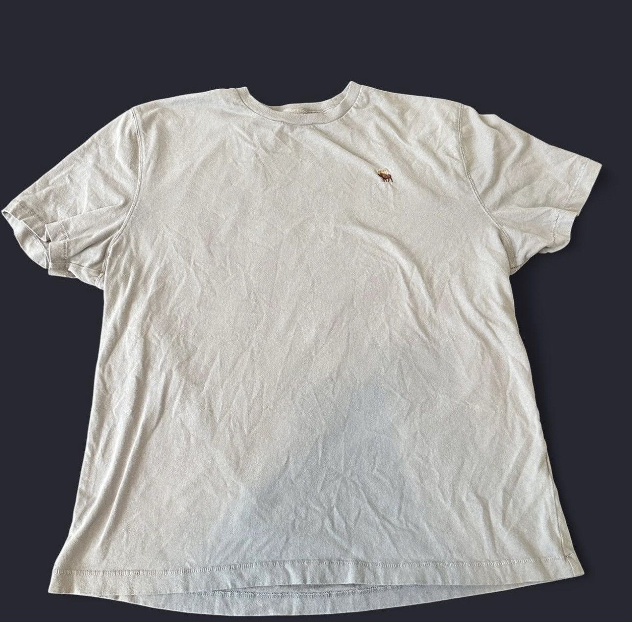 Abercrombie & Fitch Abercrombie & Fitch light gray t-shirt Size US XXL / EU 58 / 5 - 1 Thumbnail