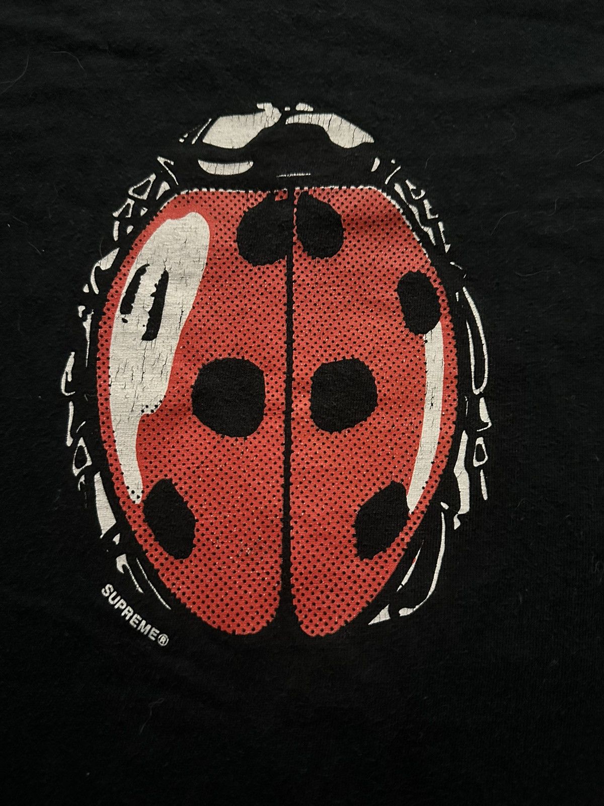 Supreme lady bug