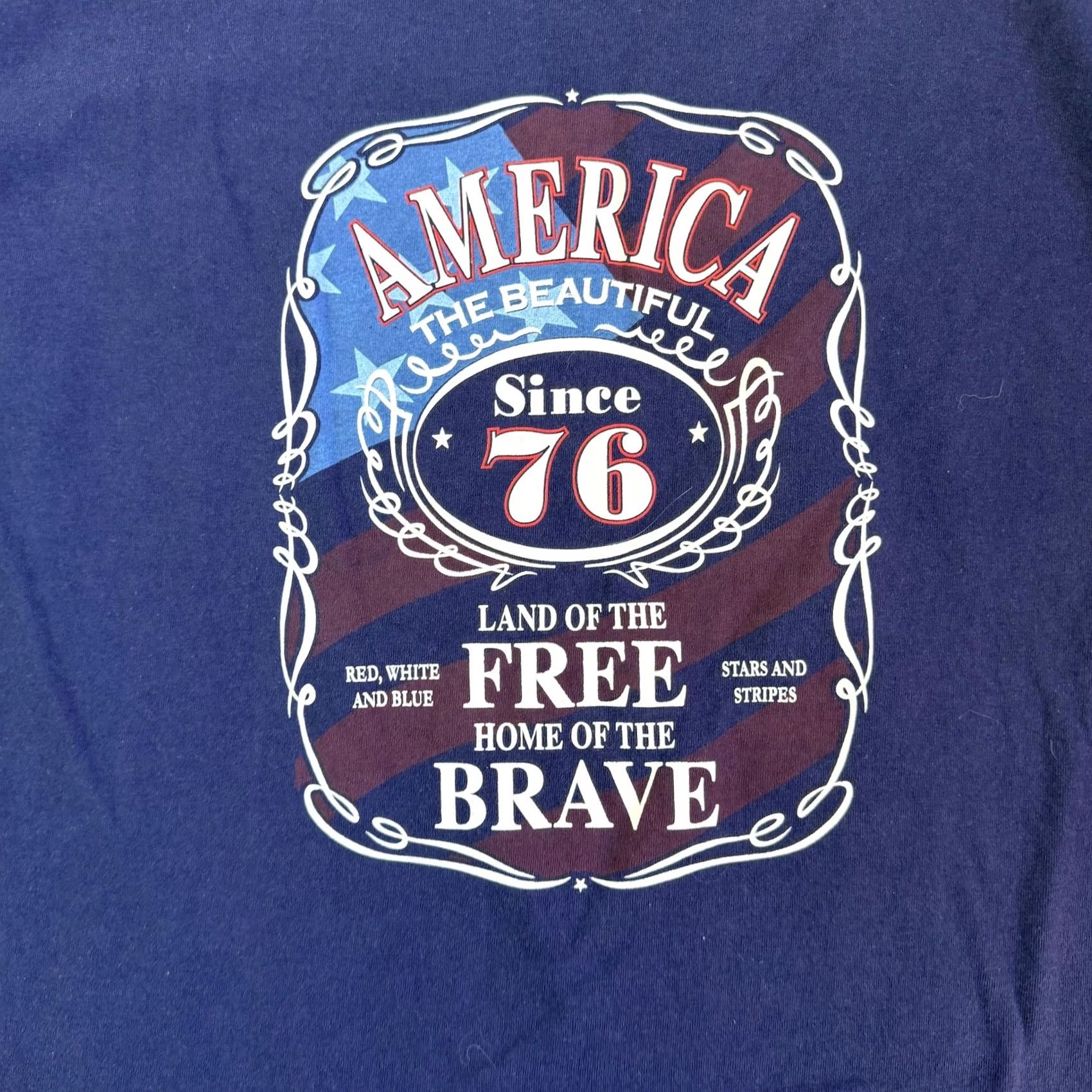 Vintage Delta Pro Weight Shirt Mens XL Blue USA Graphic T-Shirt Patriotic America The Beautiful 76 Land Of The Free Womens? Mens Size US XL / EU 56 / 4 - 2 Thumbnail