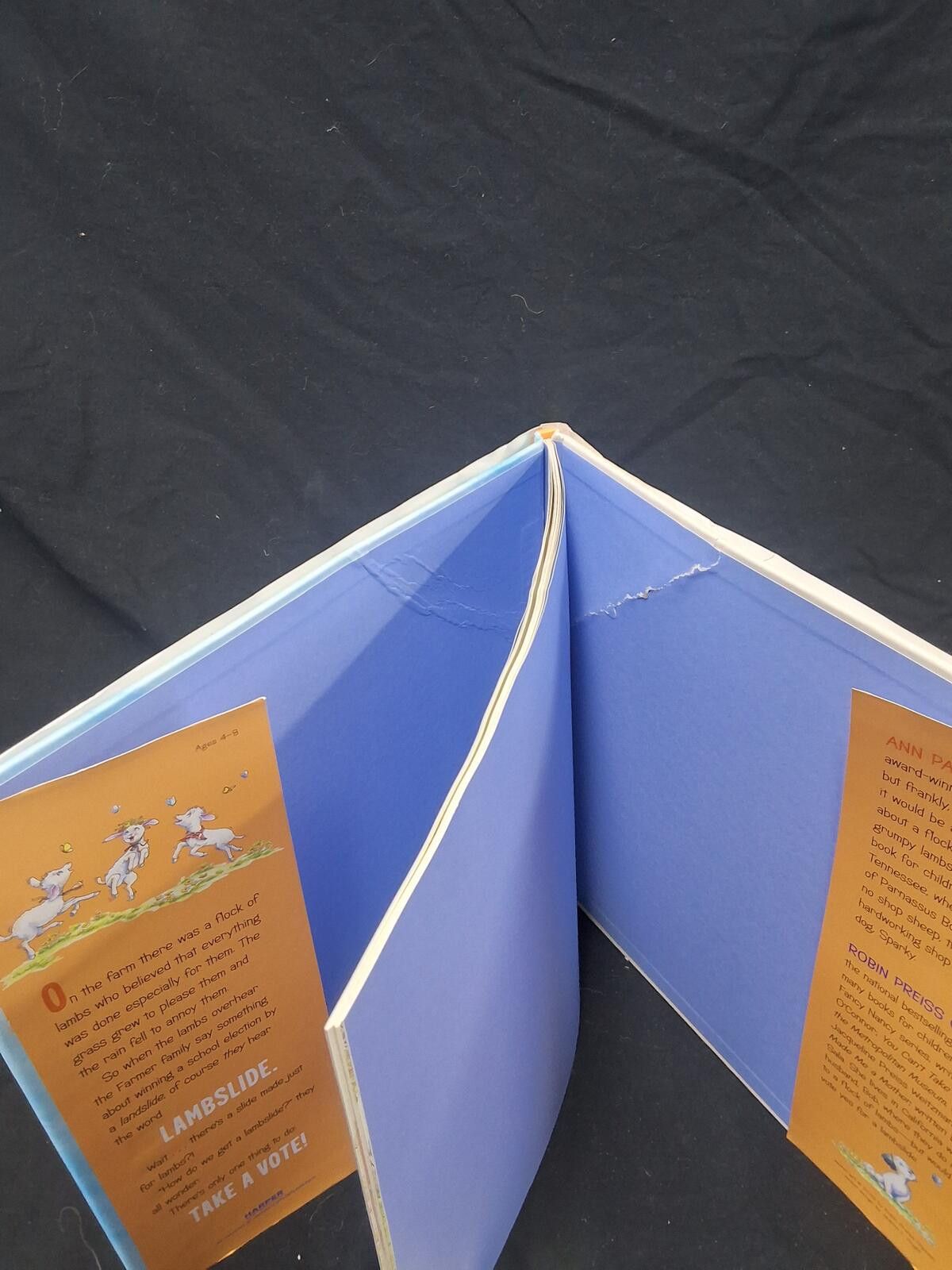 Other Lambslide by Ann Patchett - Children's Book - Damaged Size ONE SIZE - 2 Thumbnail