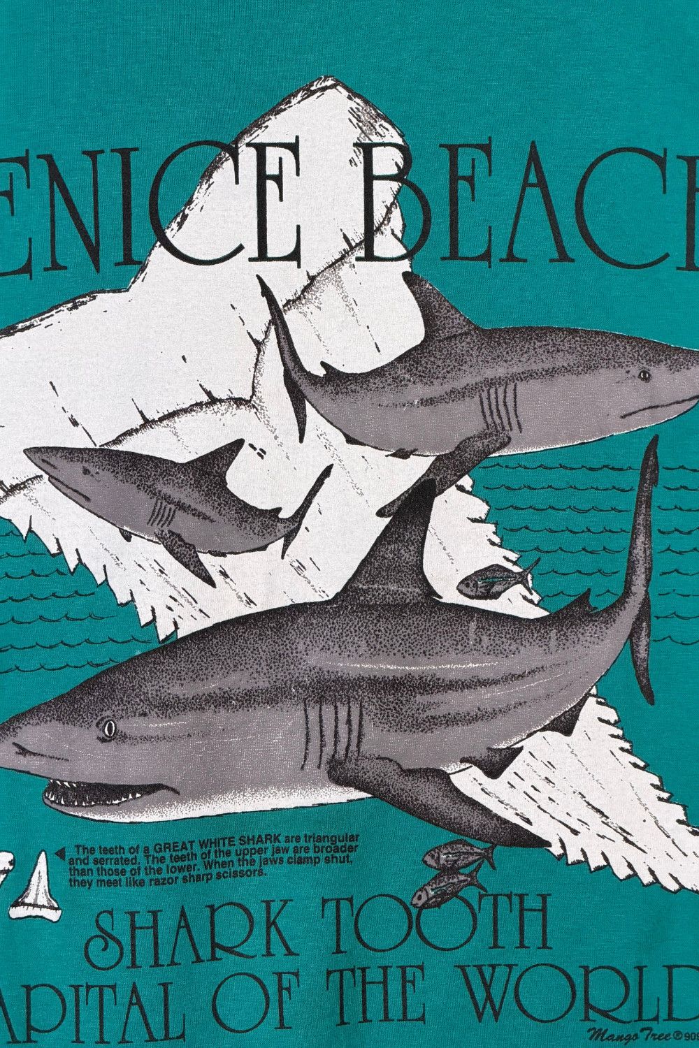 Hanes Vintage 90s Venice Beach Shark Tooth Graphic Tee USA Single Size US L / EU 52-54 / 3 - 3 Thumbnail