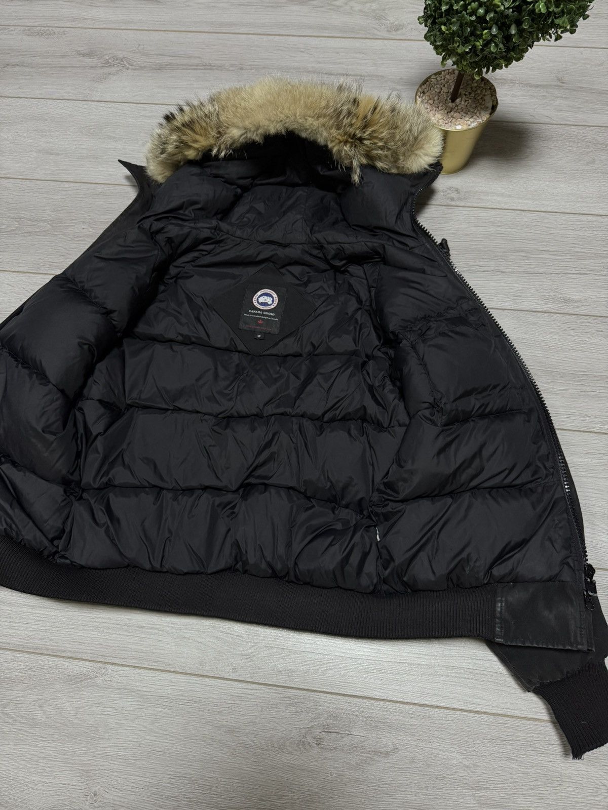 Canada Goose Canada Goose Chilliwack bomber down jacket fur Size US M / EU 48-50 / 2 - 9 Thumbnail