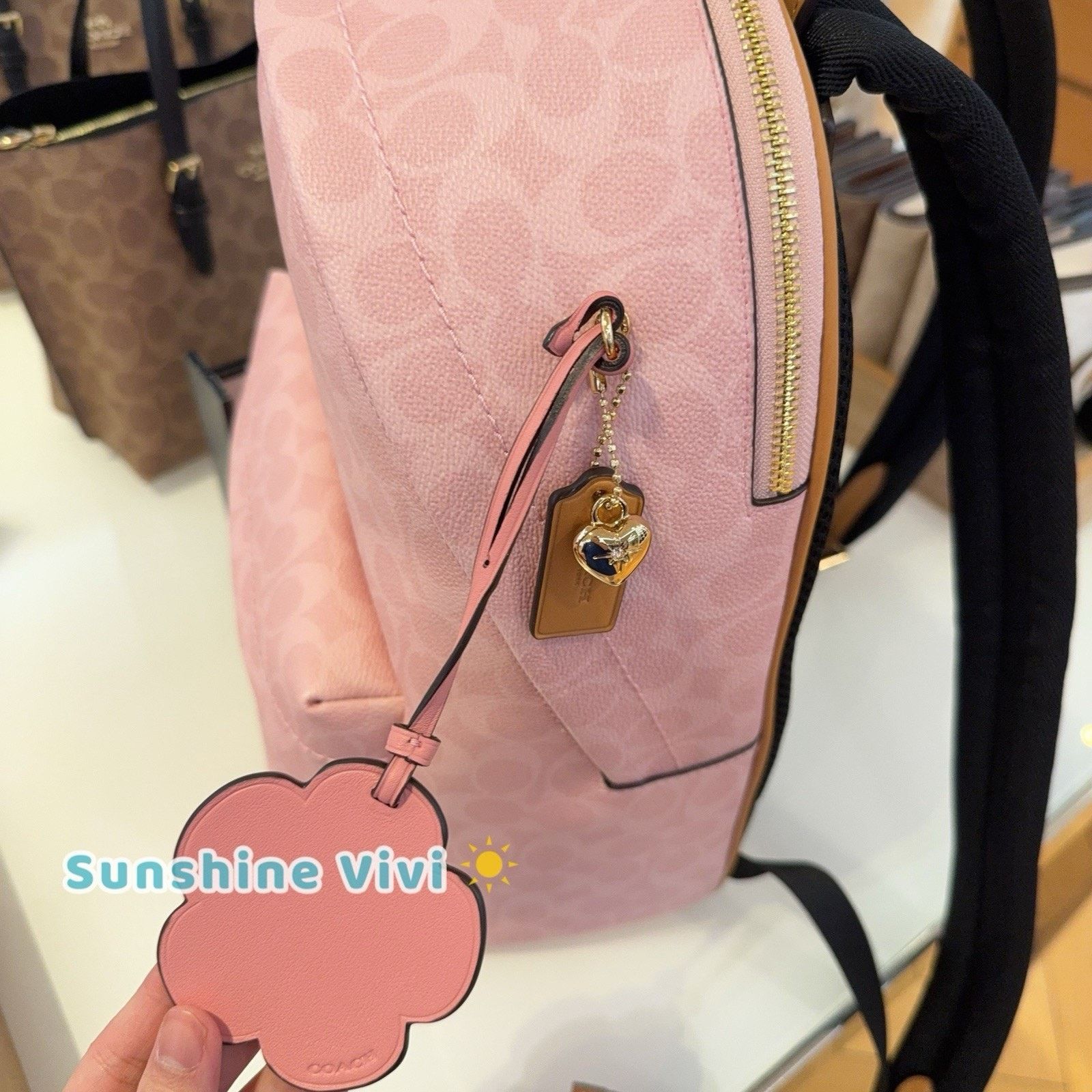 Coach NWT Coach CEF46 Taylor Small Backpack Charms Powder pink Size ONE SIZE - 9 Thumbnail