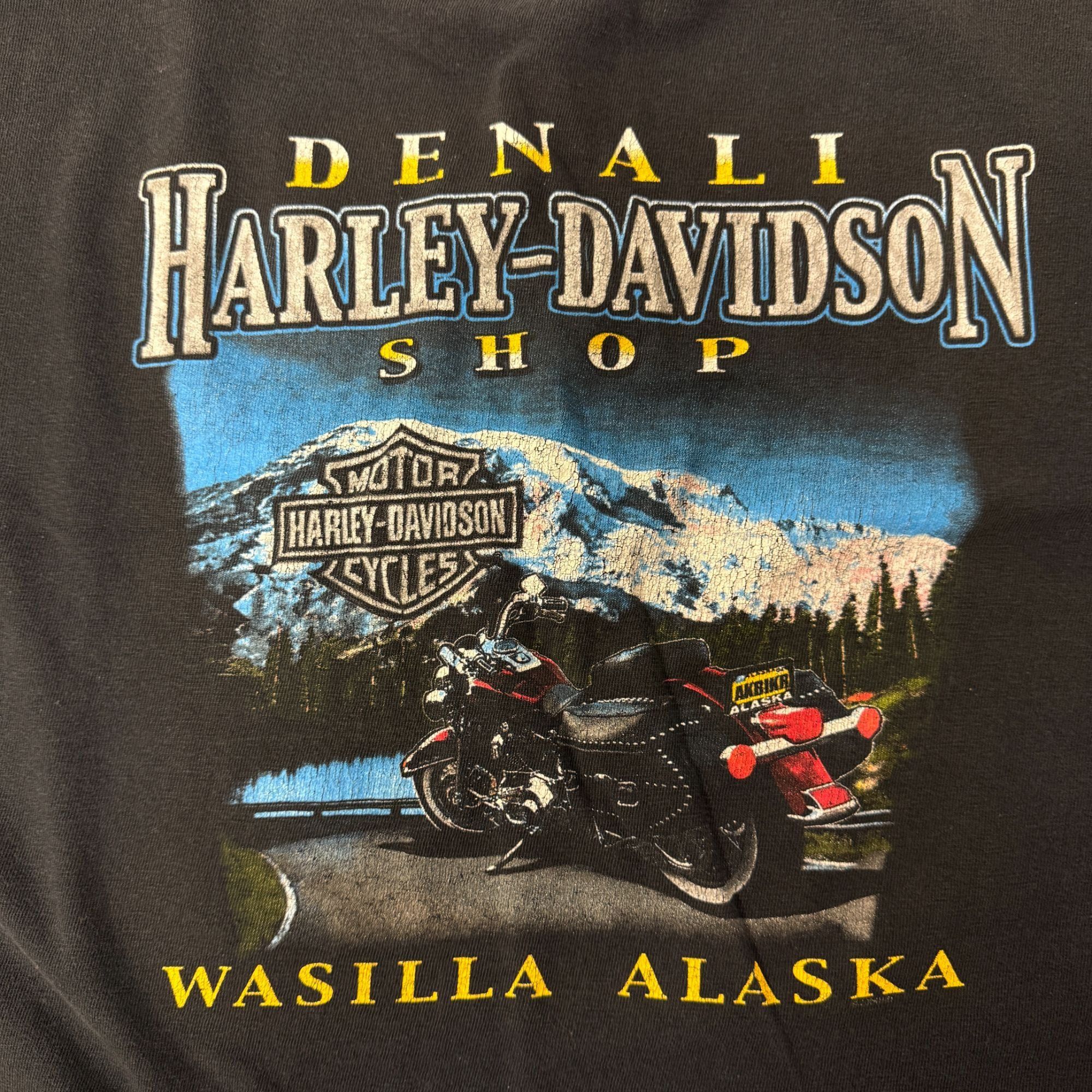 Harley Davidson DENALI Motorcycle Wasilla ALASKA ROCKY MOUNTAINS T Shirt 4XL Size US XXL / EU 58 / 5 - 2 Thumbnail