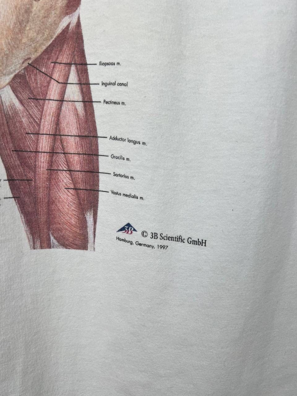 Vintage Anatomy 1997 humor vintage t-shirts size XL Size US XL / EU 56 / 4 - 3 Thumbnail