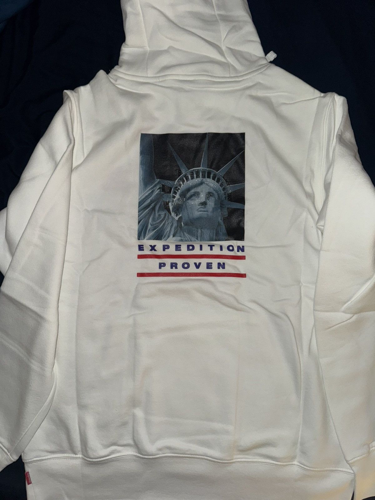 Supreme × The North Face Supreme x The North Face Liberty Pullover Hoodie FW 2019 Size US M / EU 48-50 / 2 - 4 Thumbnail