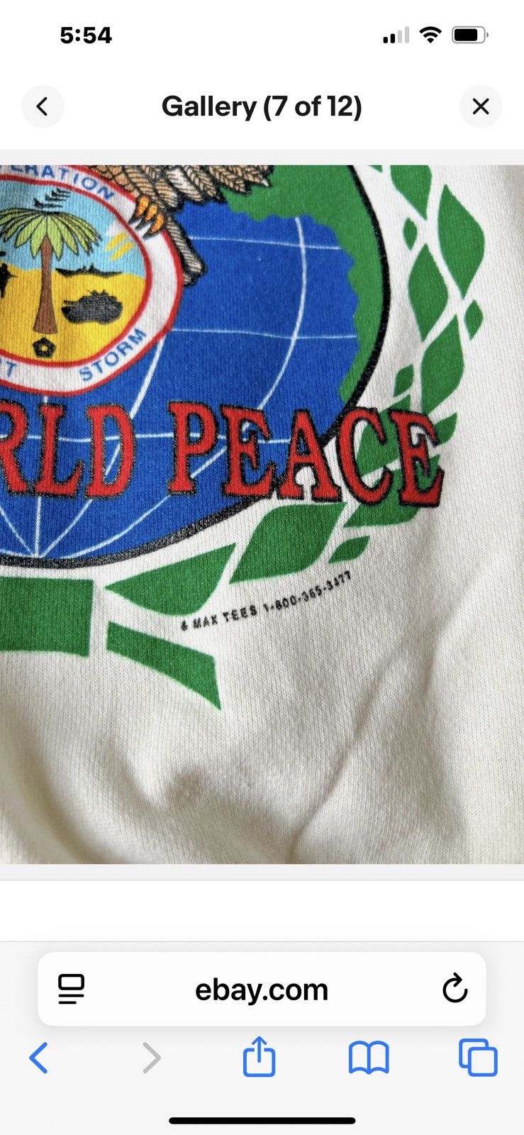 Hanes Operation Desert Storm Americans United Sweatshirt Size L Size US L / EU 52-54 / 3 - 7 Thumbnail
