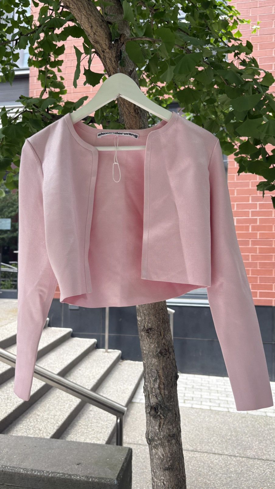 Alexander Wang Alexander Wang 2piece Formal Light Pink Size S / US 4 / IT 40 - 1 Thumbnail