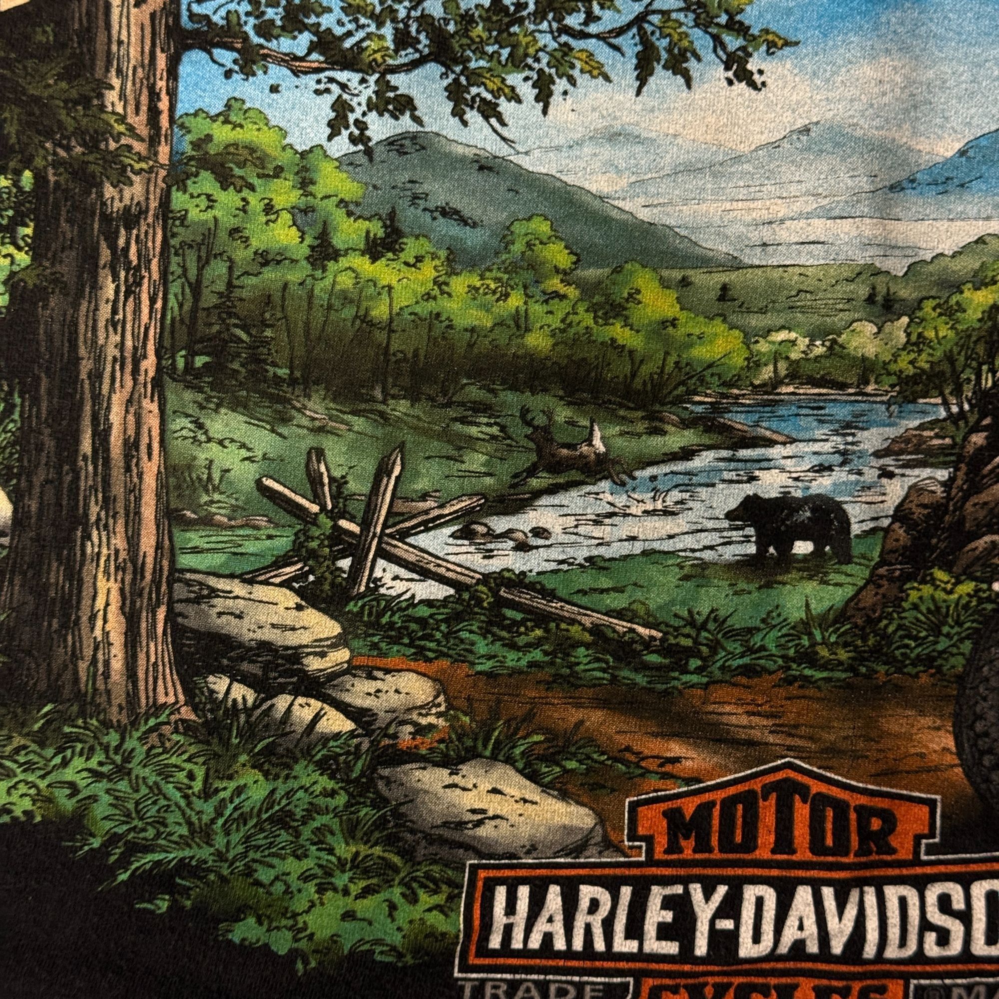 Harley Davidson Harley Davidson GATLINBURG TN Smoky Mountain HILLBILLY Outpo Size US XXL / EU 58 / 5 - 11 Thumbnail