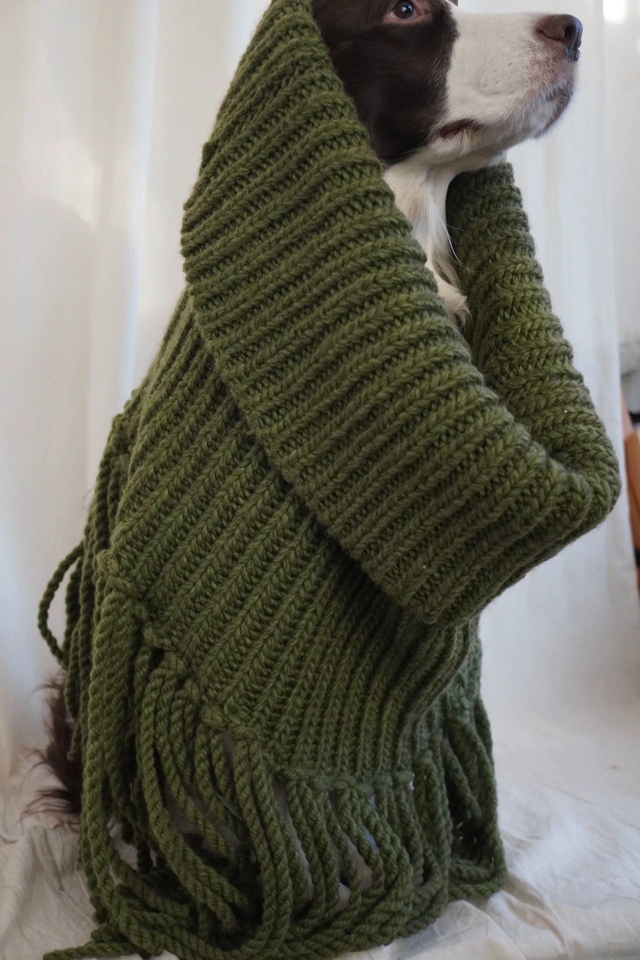 Other zooSelect Hand-Knit Bulky Fringed Cowl Snake Green Size ONE SIZE - 6 Thumbnail