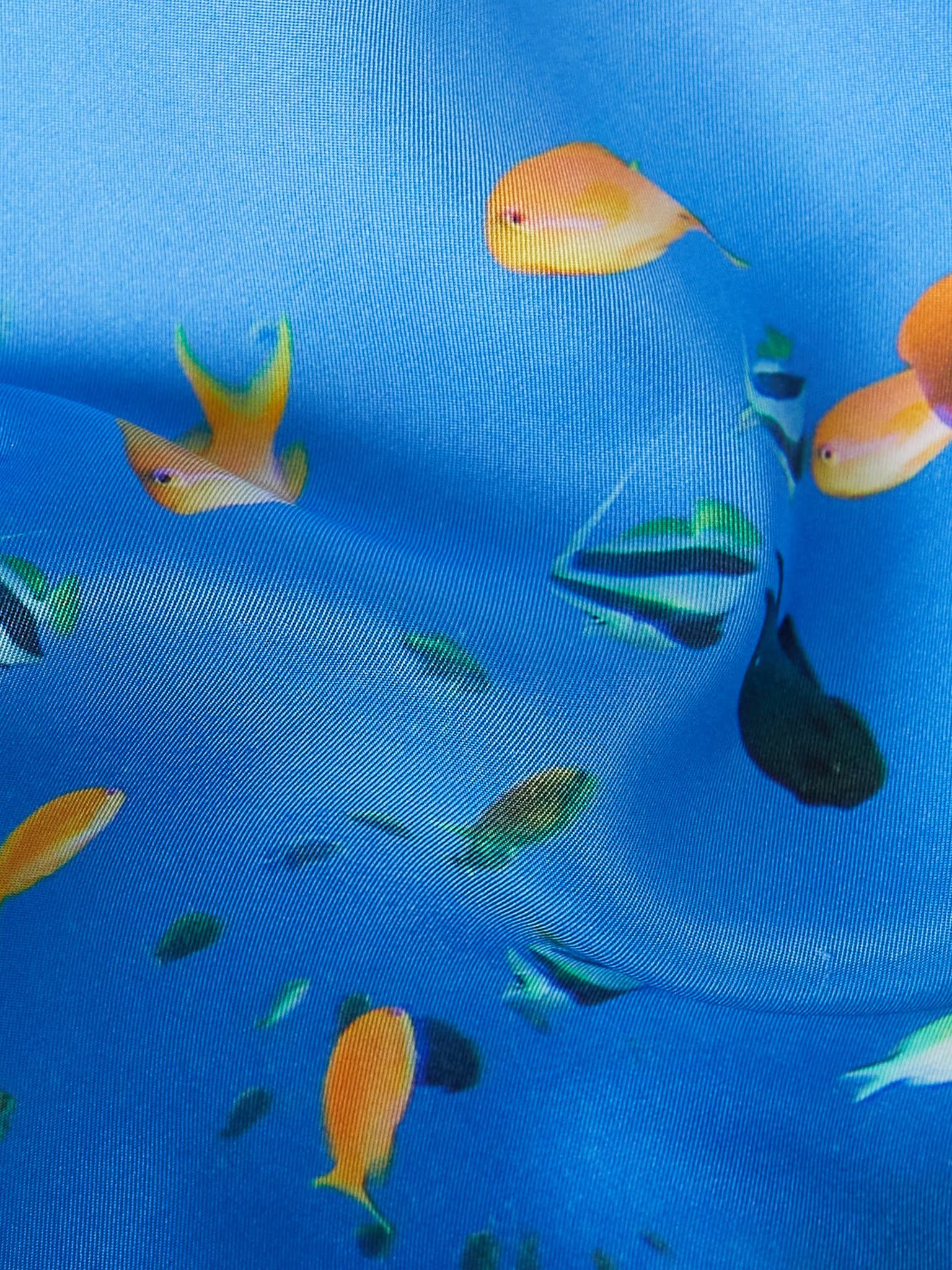 Loewe Straight-Leg 100% Silk Aquarium Print Shorts Size US 32 / EU 48 - 5 Thumbnail