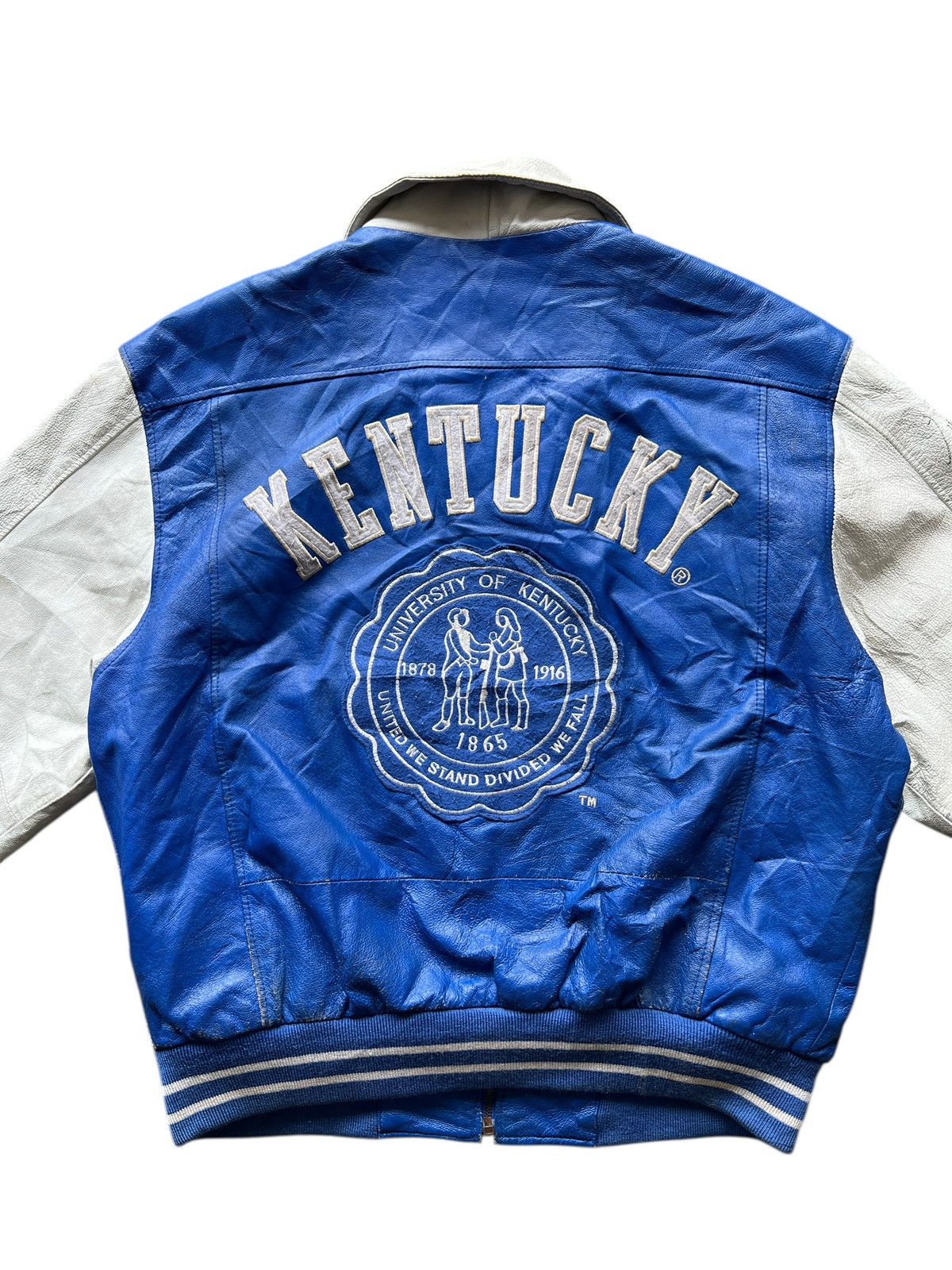Vintage Vintage kentucky Wildcat Leather Bomber Jacket Size US L / EU 52-54 / 3 - 4 Thumbnail