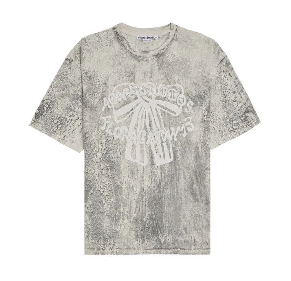 Acne Studios $345 Acne Studios Floragatan 13 Screen Print T-Shirt 