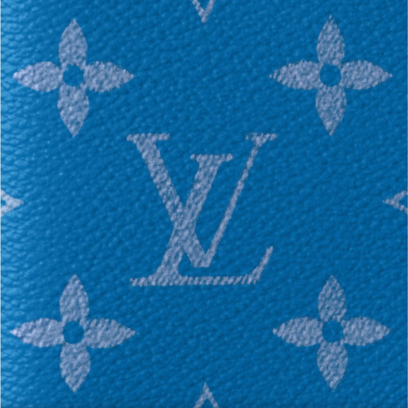 Louis Vuitton Louis Vuitton Taiga Taigarama Logo Pocket Organizer Wallet Size ONE SIZE - 5 Thumbnail
