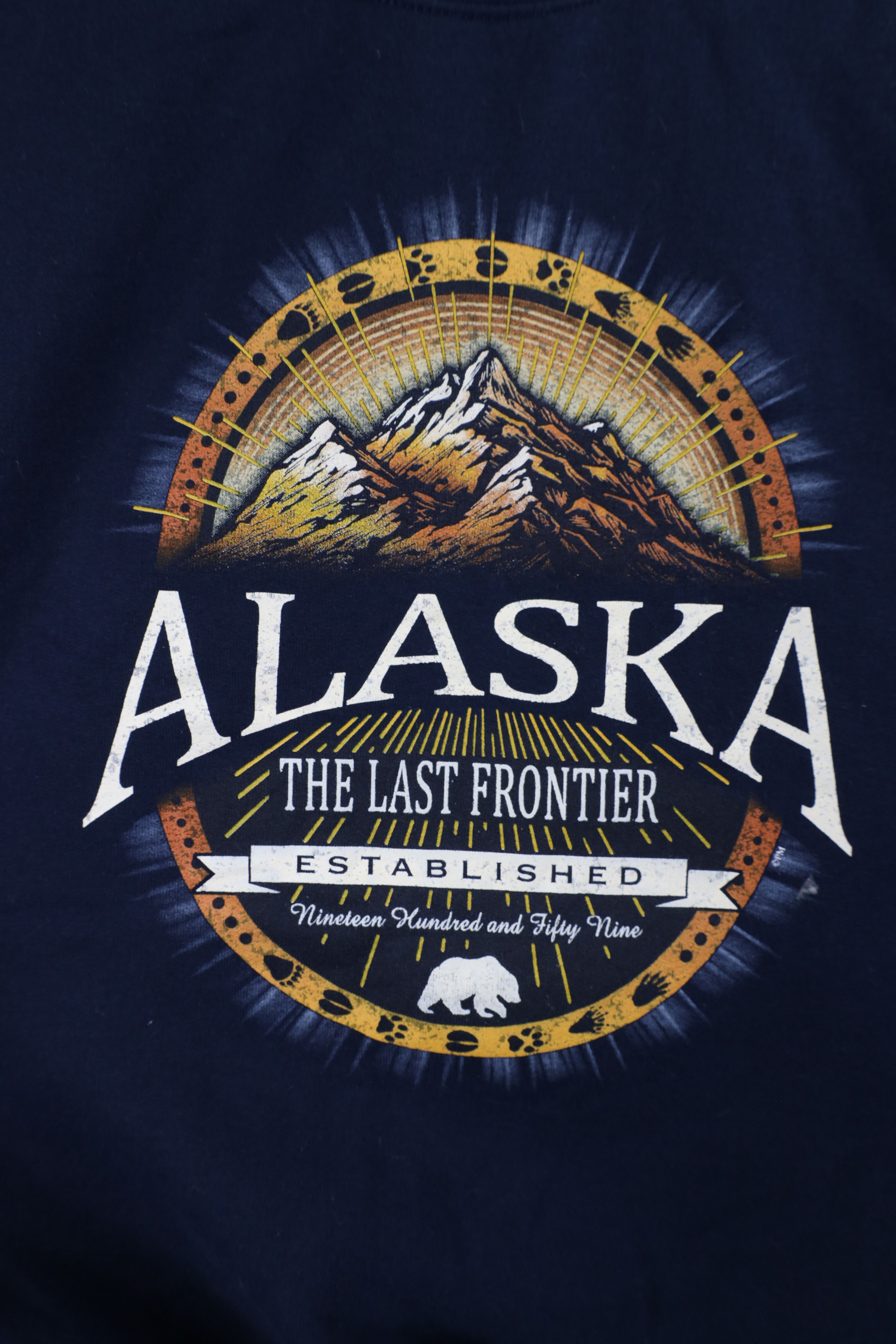Vintage Vintage 90s Streetwear Spell Out Alaska Crewneck Sweatshirt Size US M / EU 48-50 / 2 - 4 Thumbnail