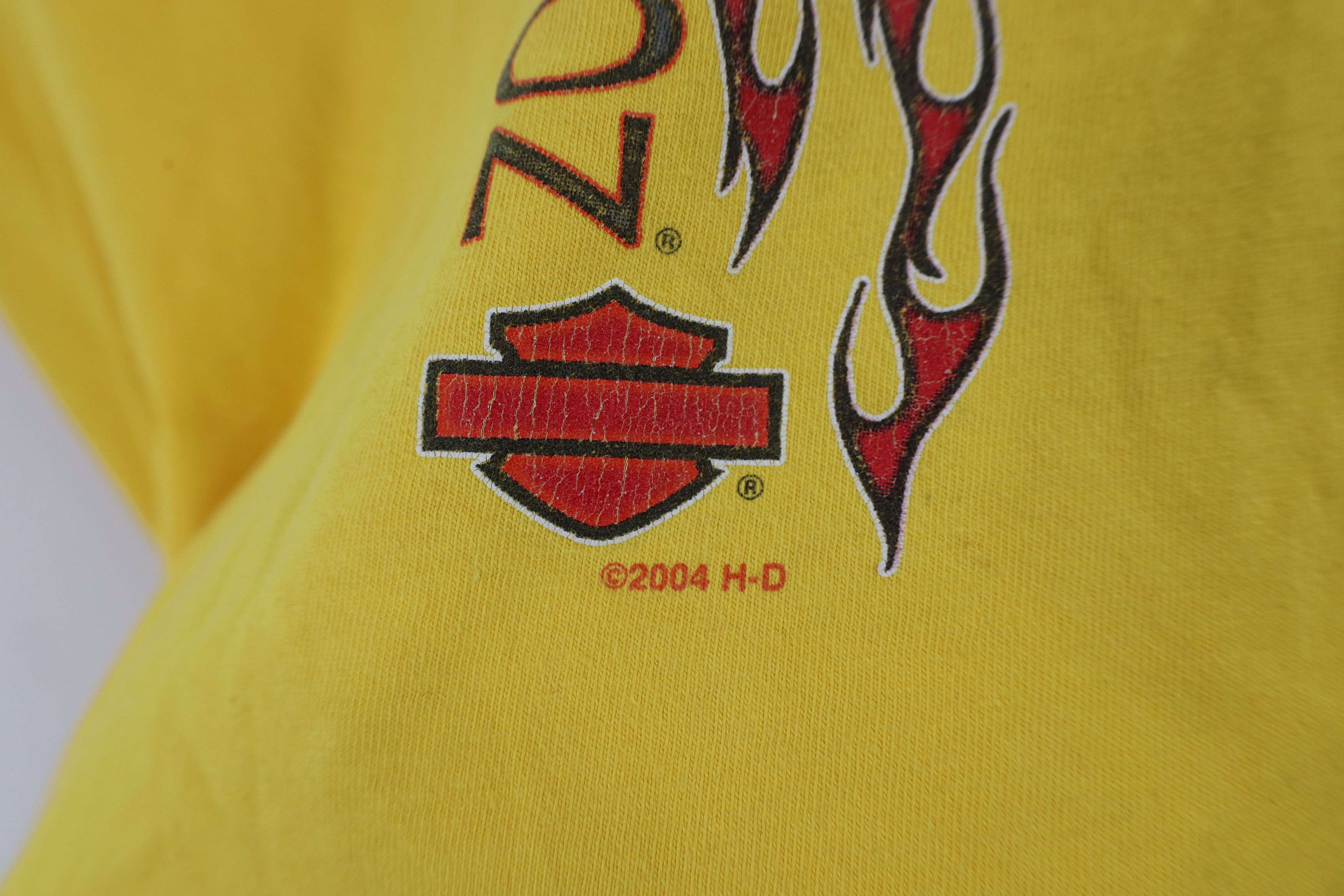 Harley Davidson × Vintage Vintage Y2K 2004 Harley Davidson Fire Flames T-Shirt USA Size US L / EU 52-54 / 3 - 8 Thumbnail