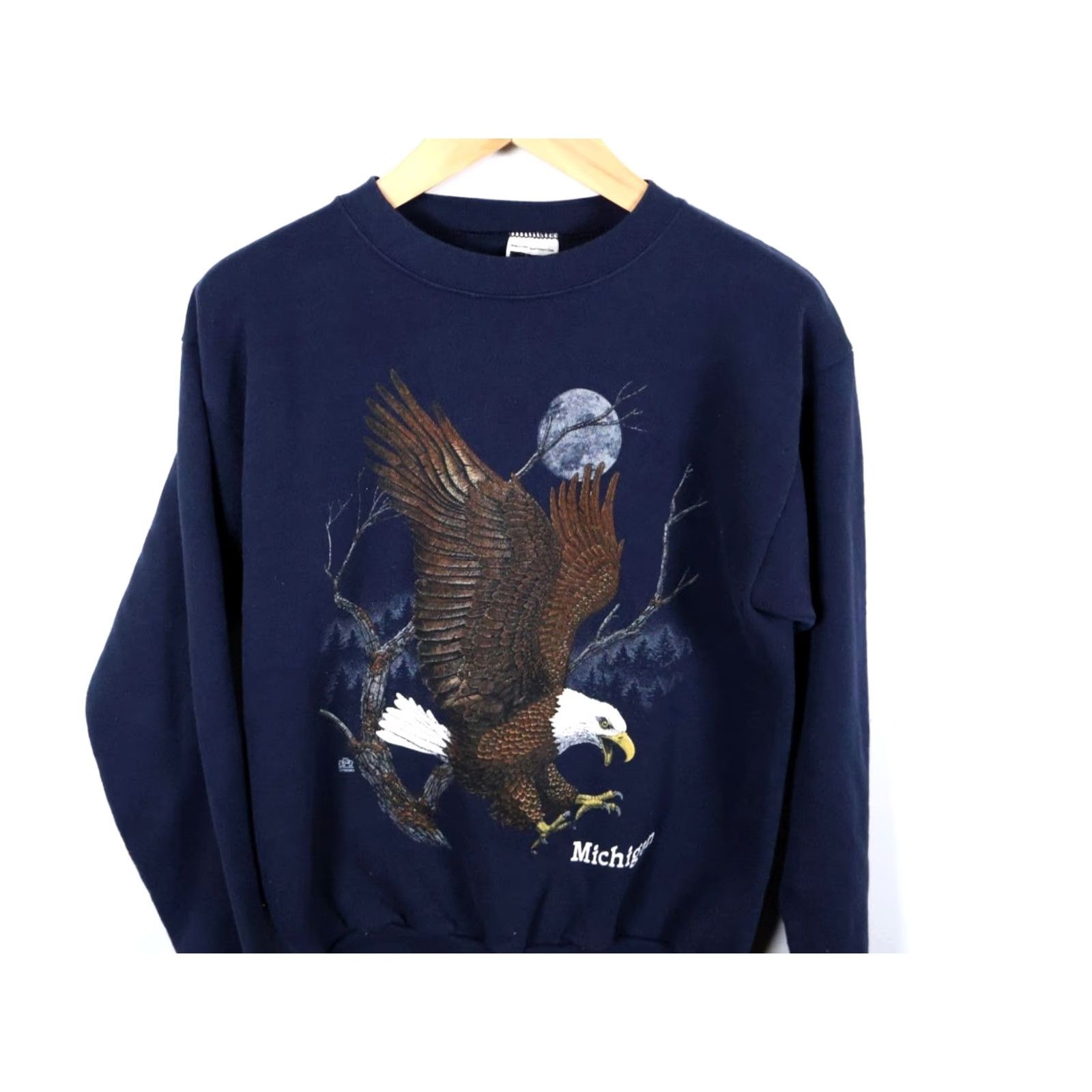 Tultex VINTAGE Tultex Eagle Sweatshirt Graphic Print Blue 50/50 1990s Nature Outdoors Mens Large Adult Medium 90s Retro Size US M / EU 48-50 / 2 - 5 Thumbnail