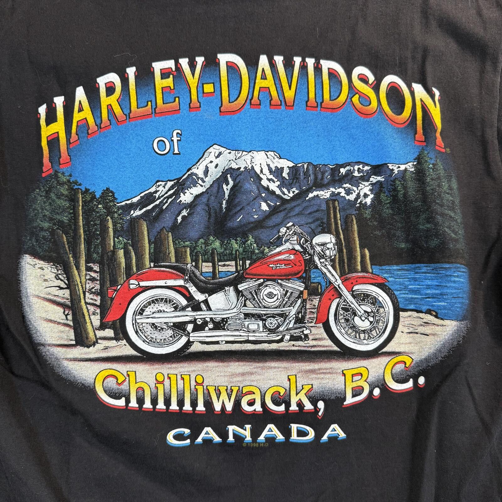 Harley Davidson Vintage 1997 Harley Davidson 95th Anniversary USA T Shirt M Size US M / EU 48-50 / 2 - 7 Thumbnail