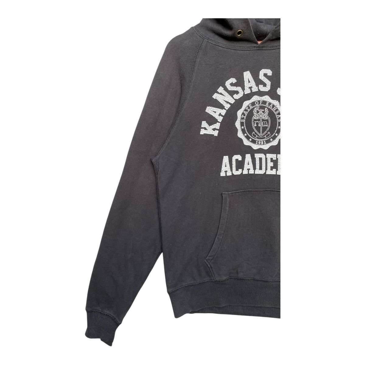Champion Vintage Champion Kansas State Academy Hoodie Jumper Size M Size US M / EU 48-50 / 2 - 3 Thumbnail