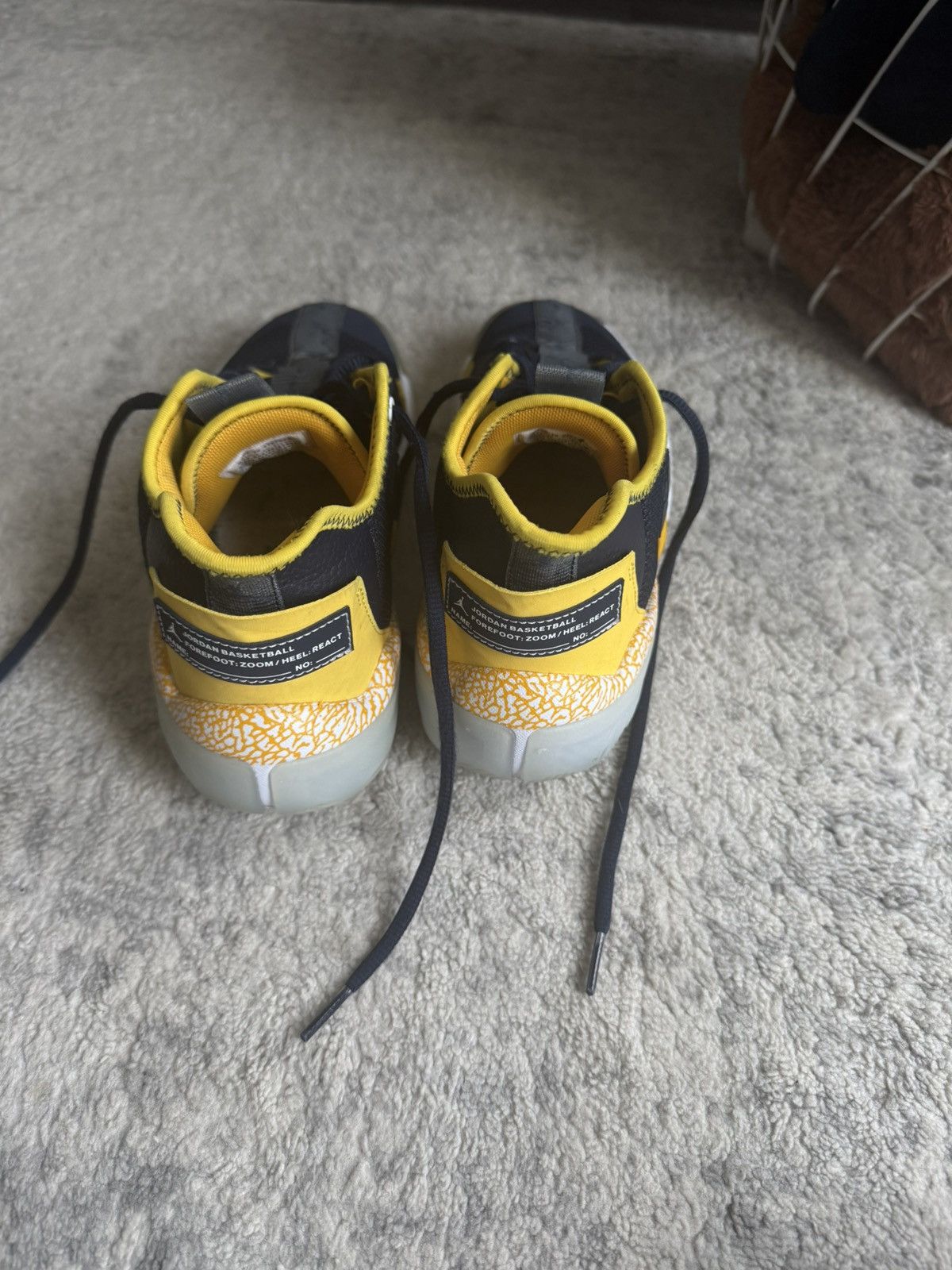 Jordan Brand Michigan PE’s Size US 8 / EU 41 - 3 Thumbnail