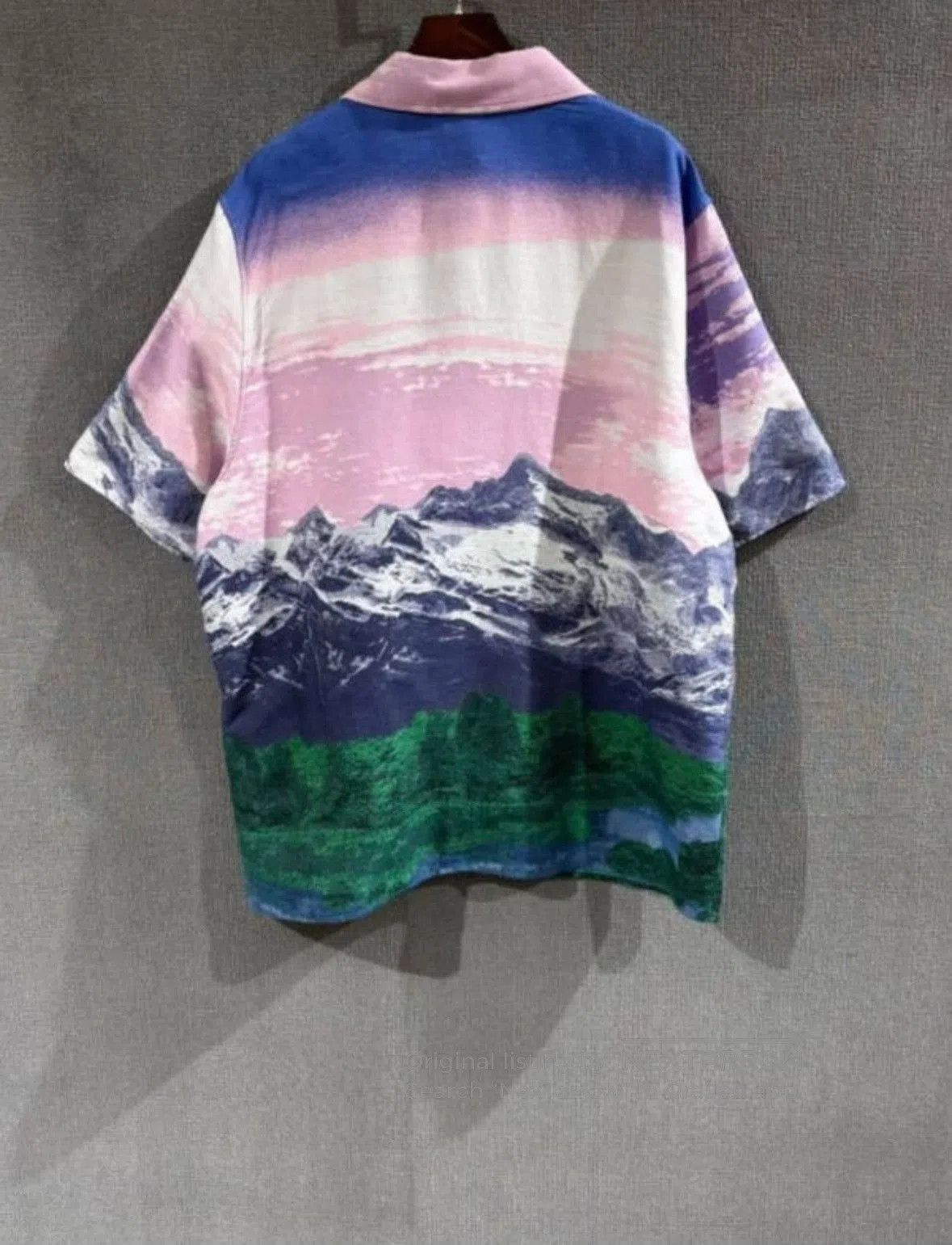 Louis Vuitton Louis Vuitton Landscape Print Short. Size US L / EU 52-54 / 3 - 2 Thumbnail