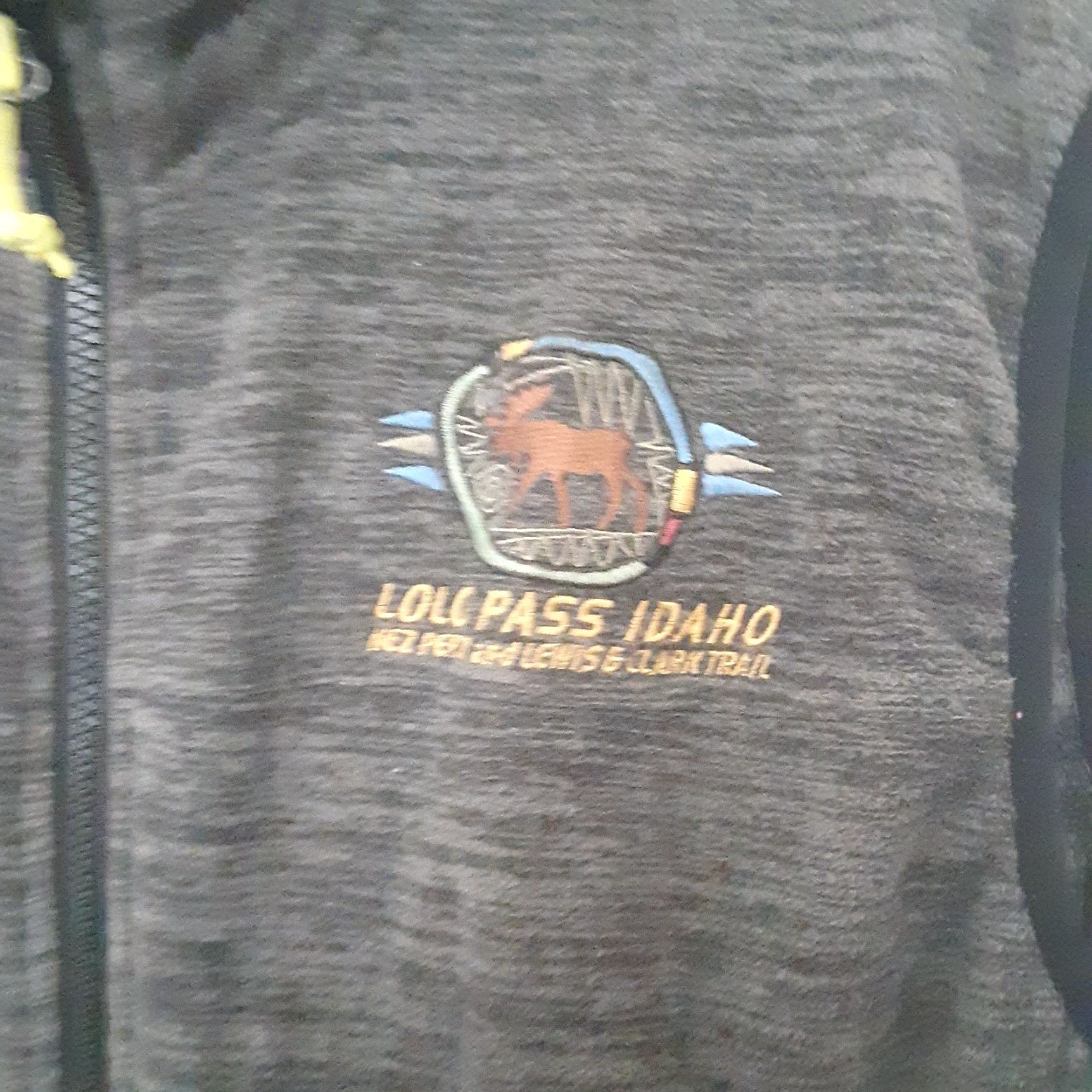 Vintage ACE LOLO PASS Fleece Vest Adult XL Gray Zip Stand-Up Embroidered Logo Zipper Classic Fit Long Description: vest not needed per rules - produce concise Size US XL / EU 56 / 4 - 2 Thumbnail
