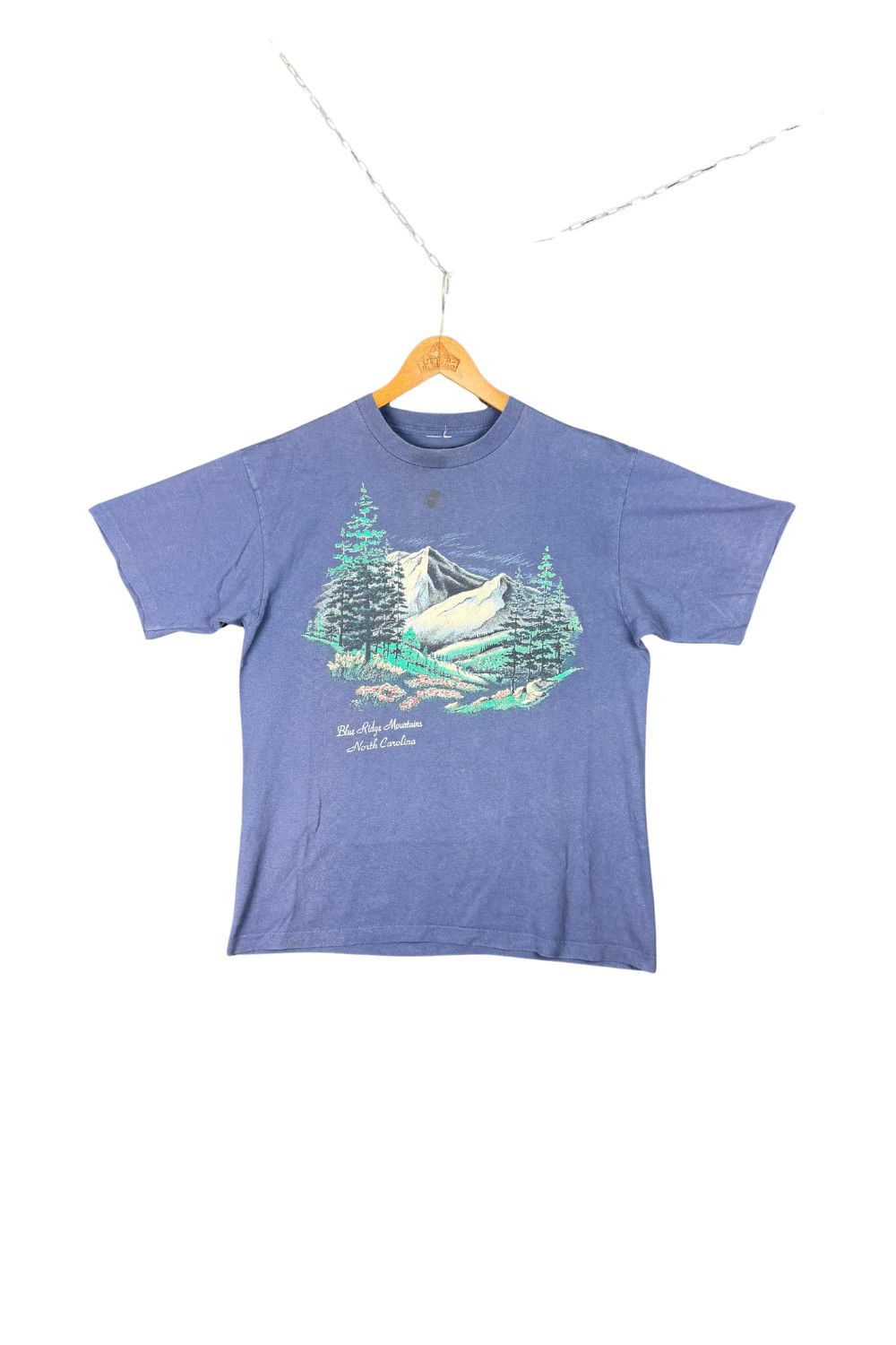 Vintage 90s Blue Ridge Mountains Scenic Tee (Single Stitch) Size US M / EU 48-50 / 2 - 1 Thumbnail