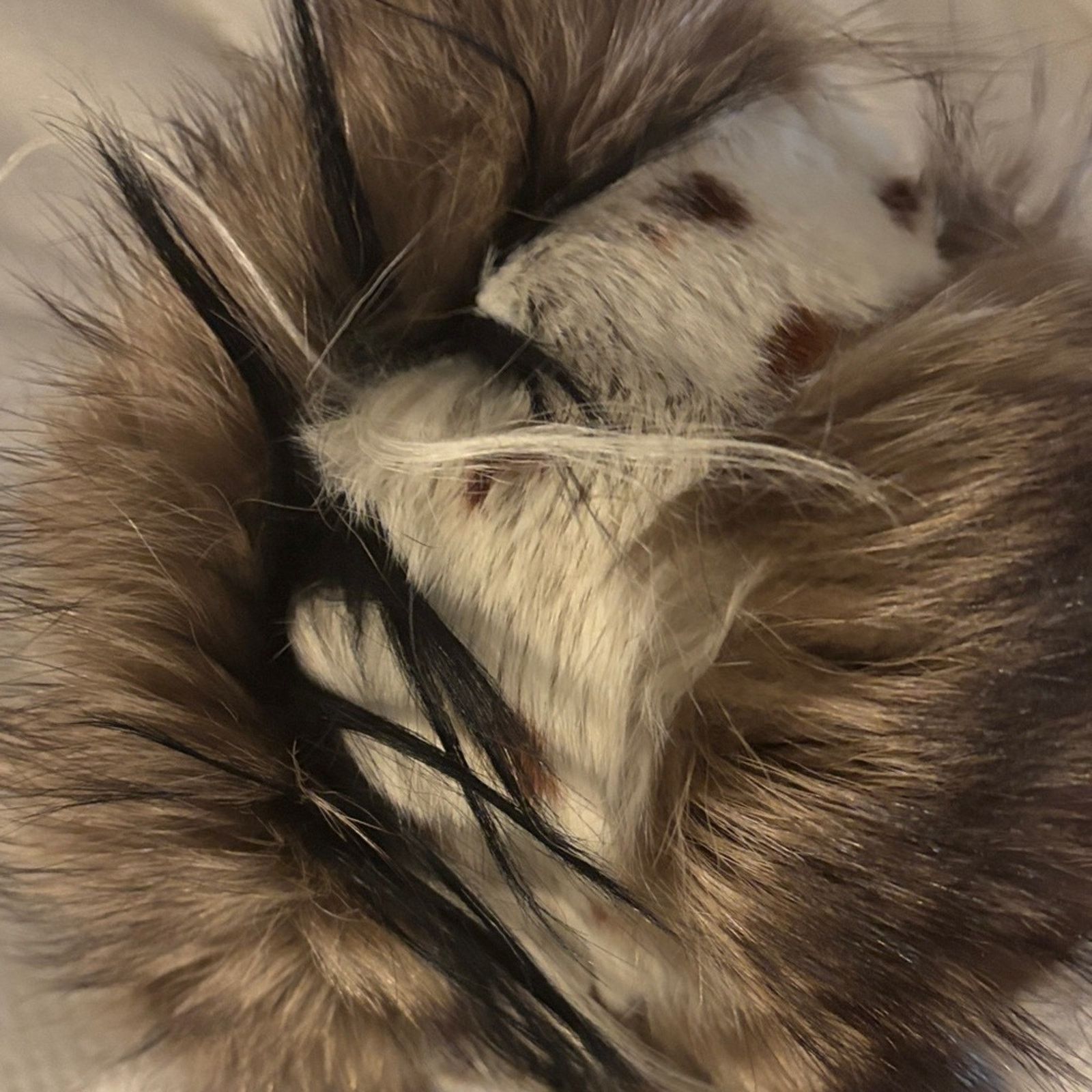 Gianfranco Ferre NWT Gianfranco Ferré Real Fur Collar Scarf Size ONE SIZE - 6 Thumbnail