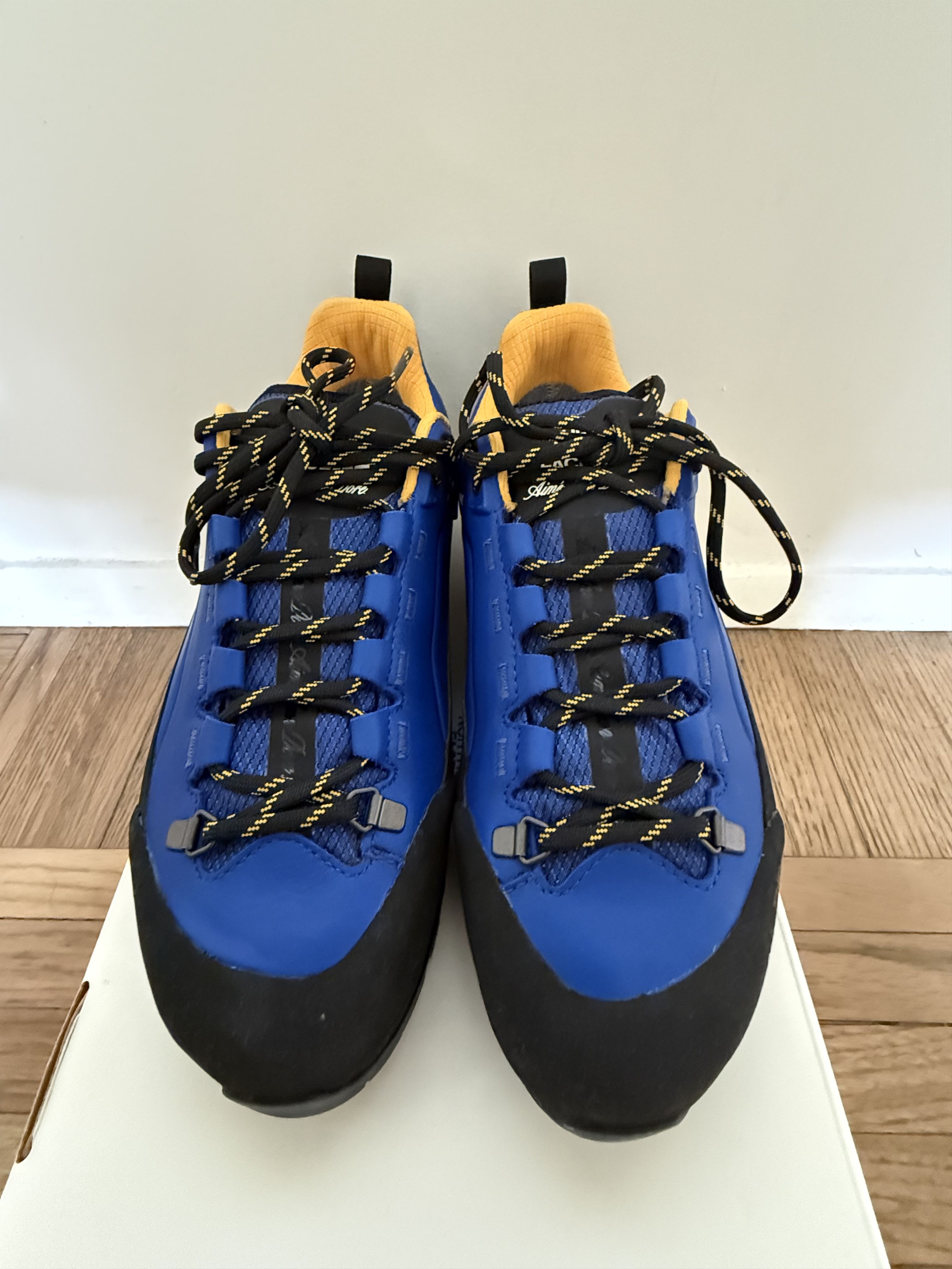 Aime Leon Dore Verto Alpine Gore-Tex The North face Black Royal Blue Size US 9 / EU 42 - 8 Thumbnail
