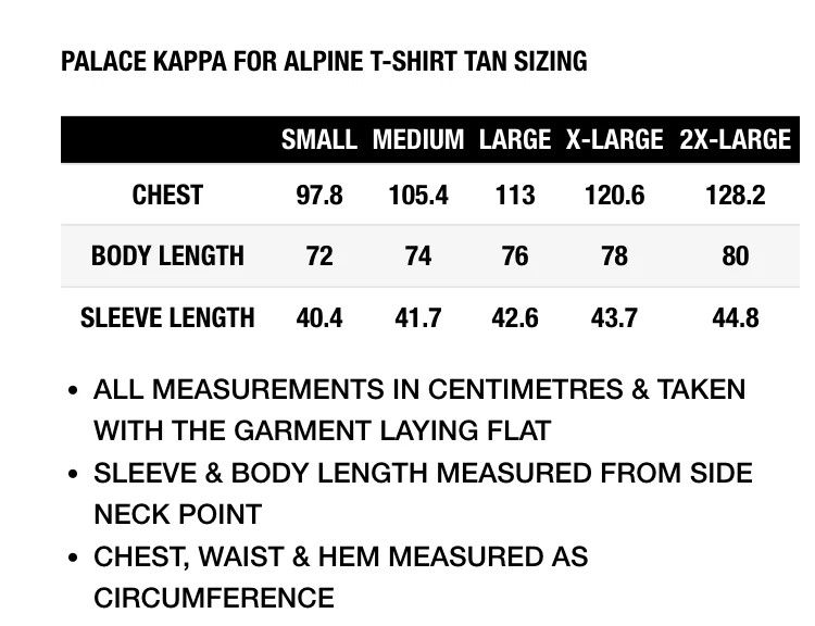 Kappa × Palace Palace Kappa for Alpine T-shirt beige Size US S / EU 44-46 / 1 - 3 Thumbnail
