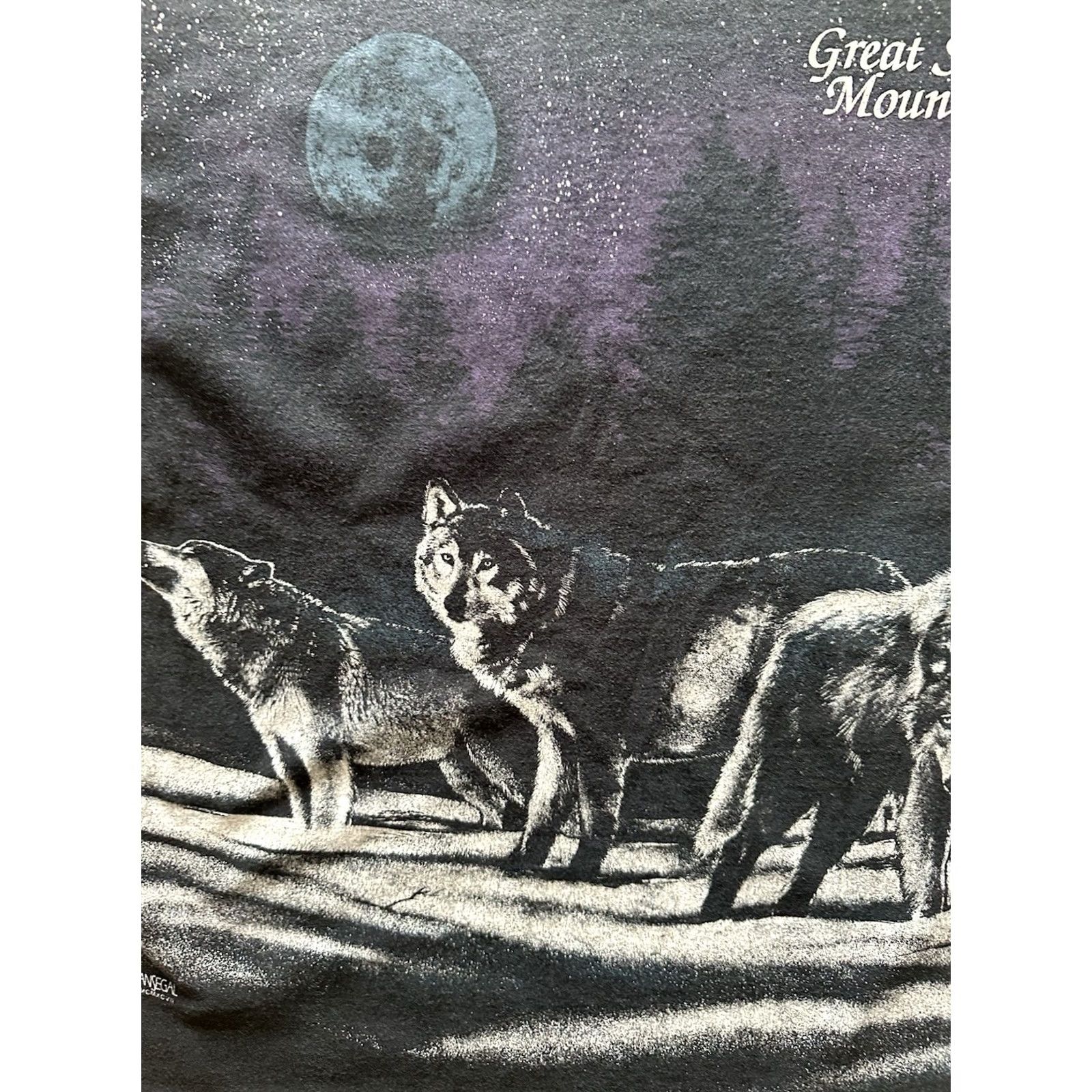 Anvil VINTAGE Great Smoky Mountains Anvil 90s T-Shirt XL Mens Solid Black Short Sleeve Crew Neck Cotton Size US XL / EU 56 / 4 - 3 Thumbnail