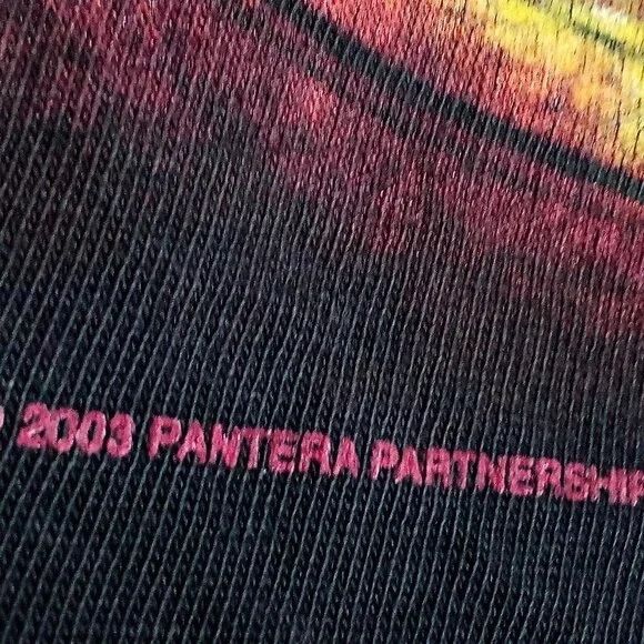 Band Tees Vintage Y2K Pantera Skull Daggers Two Sided T-Shirt Size US L / EU 52-54 / 3 - 3 Thumbnail
