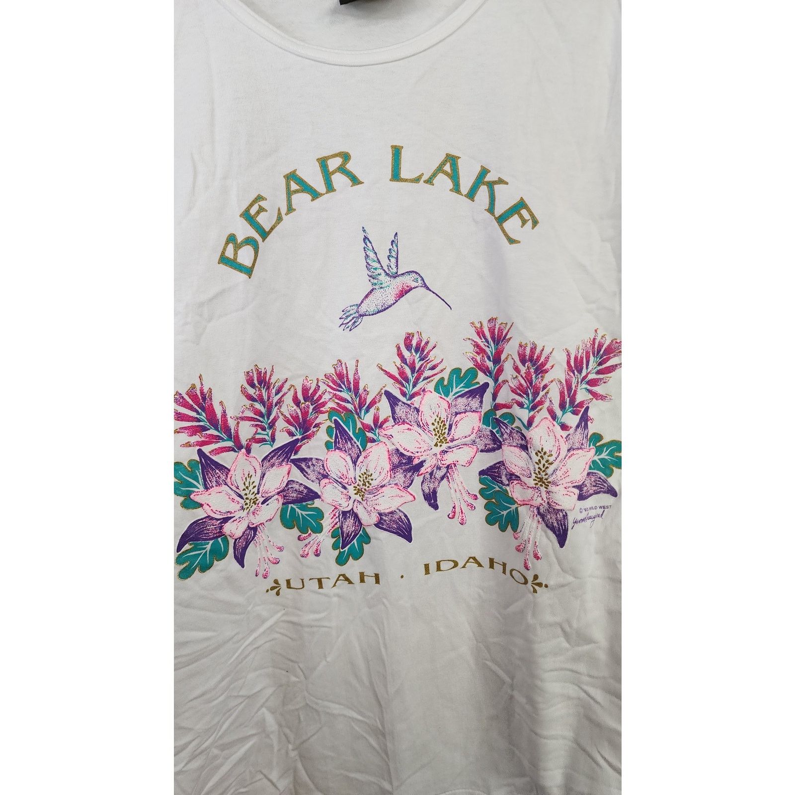 Signal Sport Vintage Bear Lake Shirt Flowers Graphic Tank VTG 90s L Size L / US 10 / IT 46 - 2 Thumbnail
