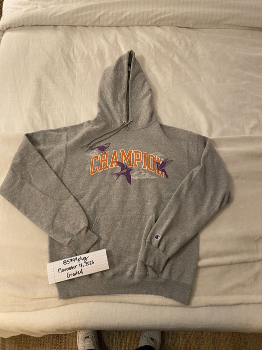 Champion uo exclusive eco fleece sales hoodie sweatshirt