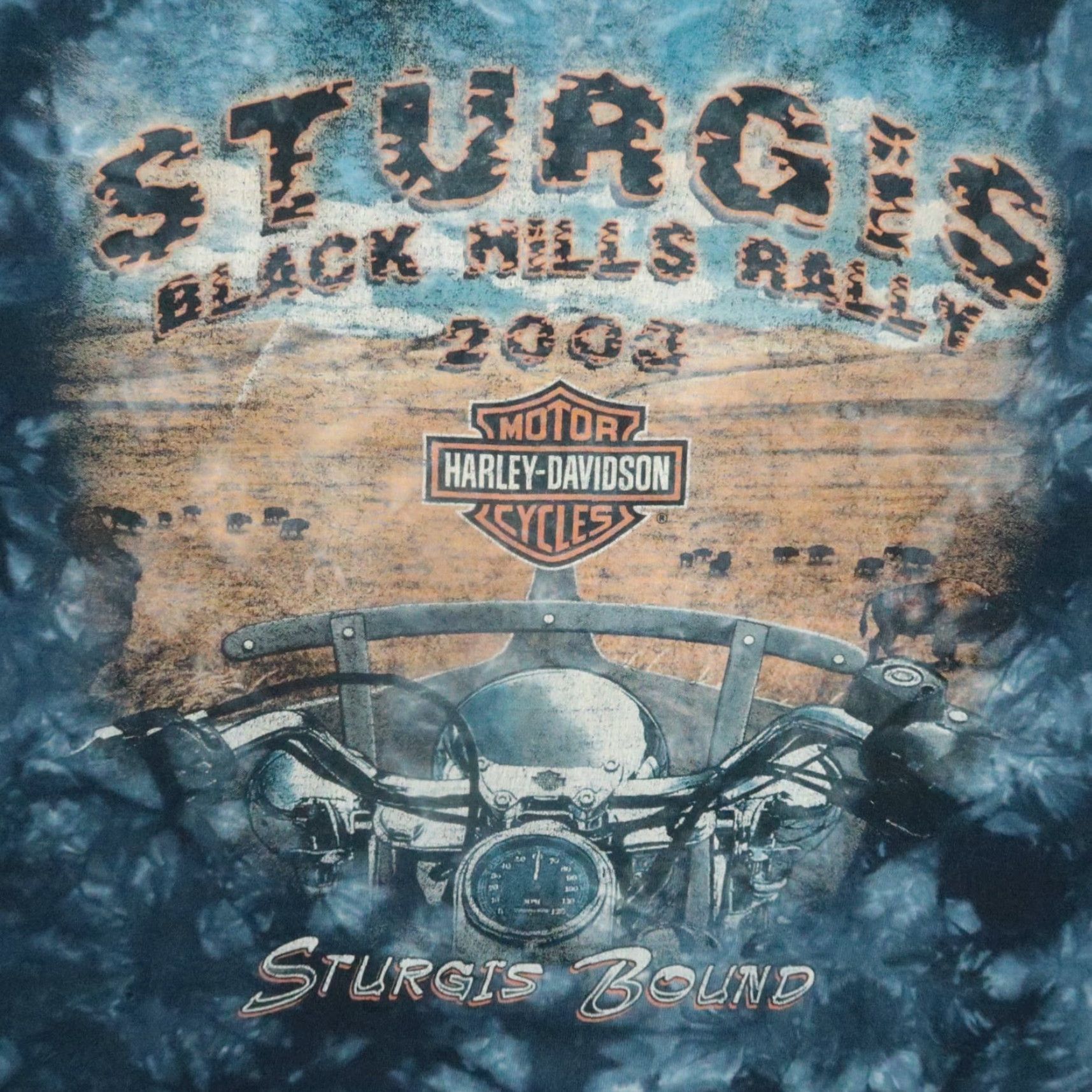Harley Davidson VINTAGE Harley-Davidson Shirt Men Medium Blue Sturgis Black Hills Rally 2003 Shirt Mens M Blue Harley-Davidson Vintage Sturgis 2003 Size US M / EU 48-50 / 2 - 4 Thumbnail