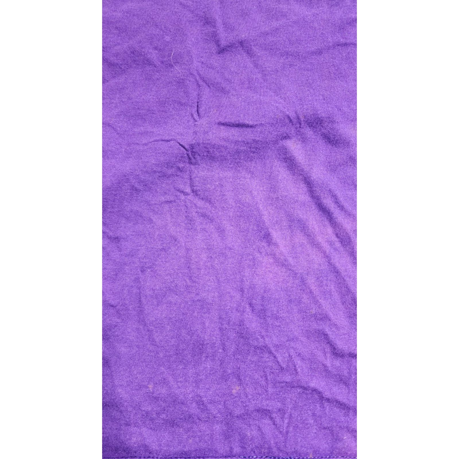 Jerzees Vintage Jerzees Mens XL T-Shirt Denali National Park Mt McKinley Alaska Native Crew Neck Short Sleeve Purple Thrashed Size US XL / EU 56 / 4 - 4 Thumbnail
